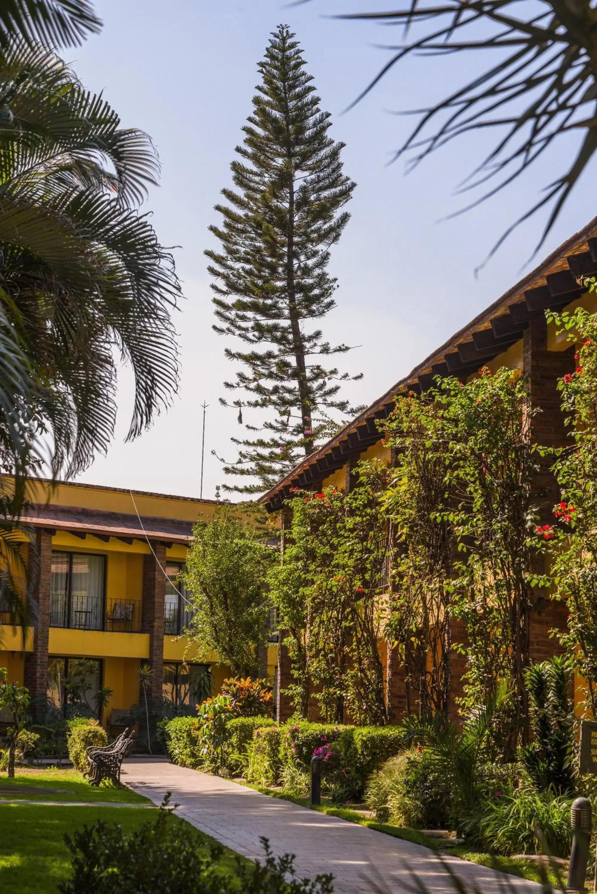 Garden, Property Building in Wyndham Garden Guadalajara Expo Plaza del Sol