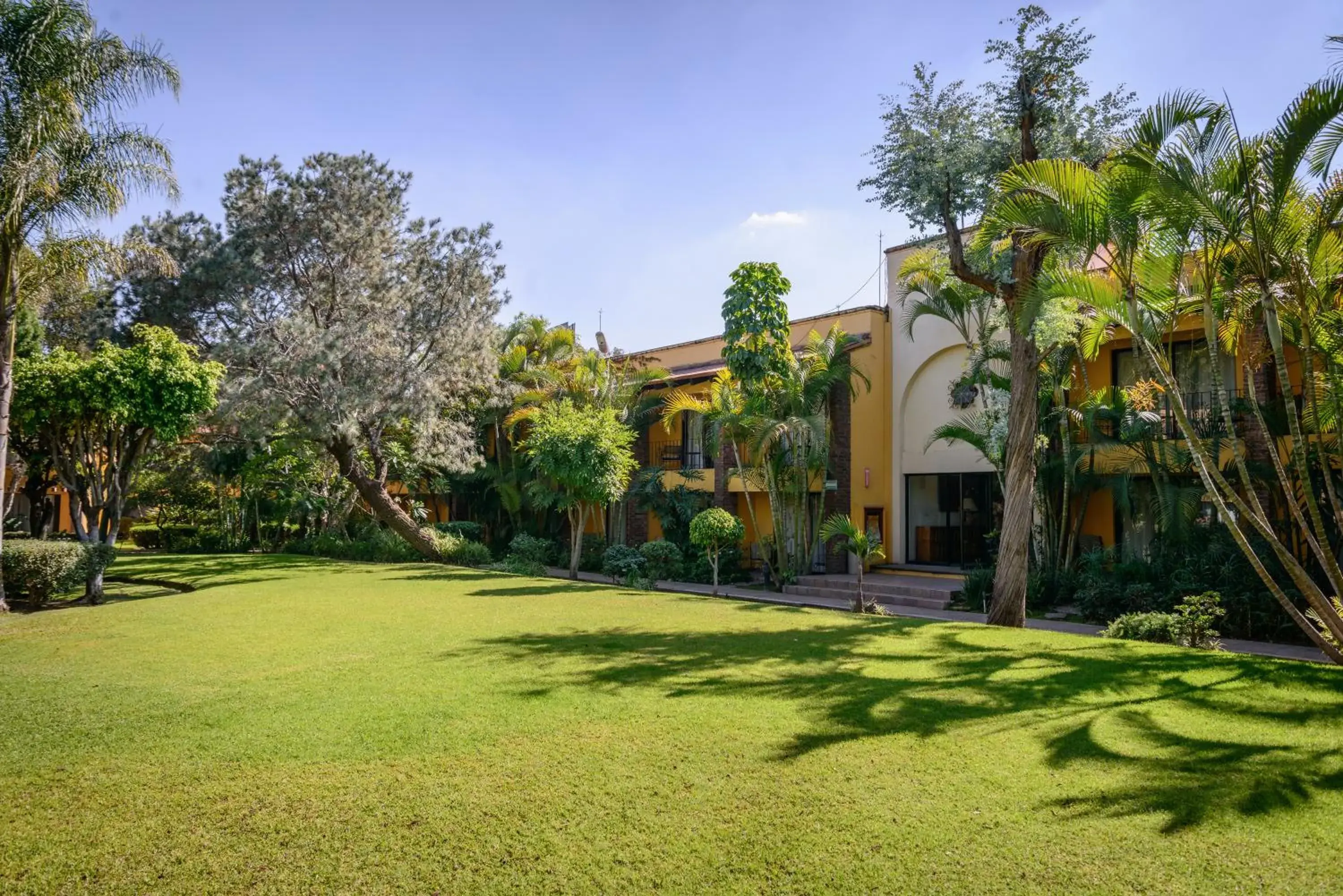 Garden, Property Building in Wyndham Garden Guadalajara Expo Plaza del Sol