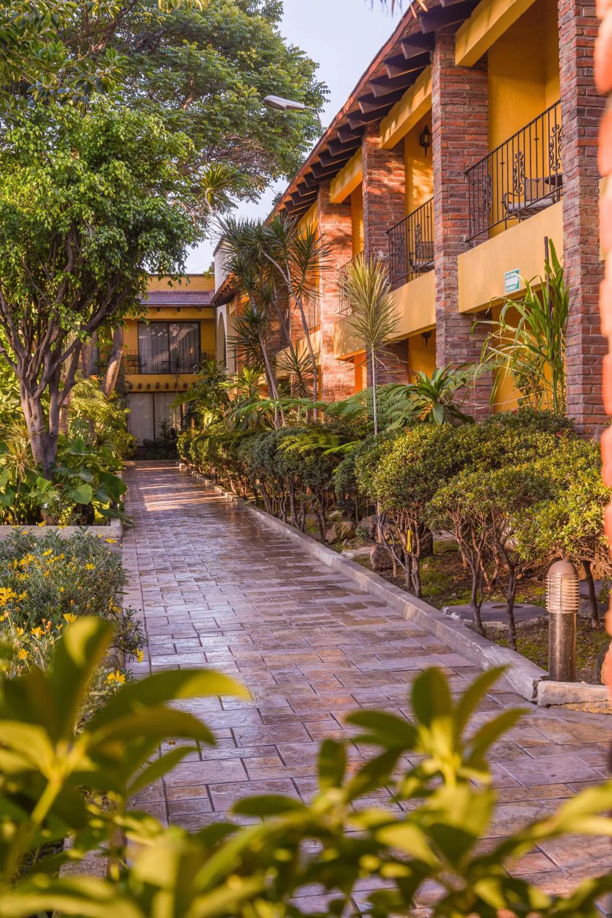 Garden in Wyndham Garden Guadalajara Expo Plaza del Sol