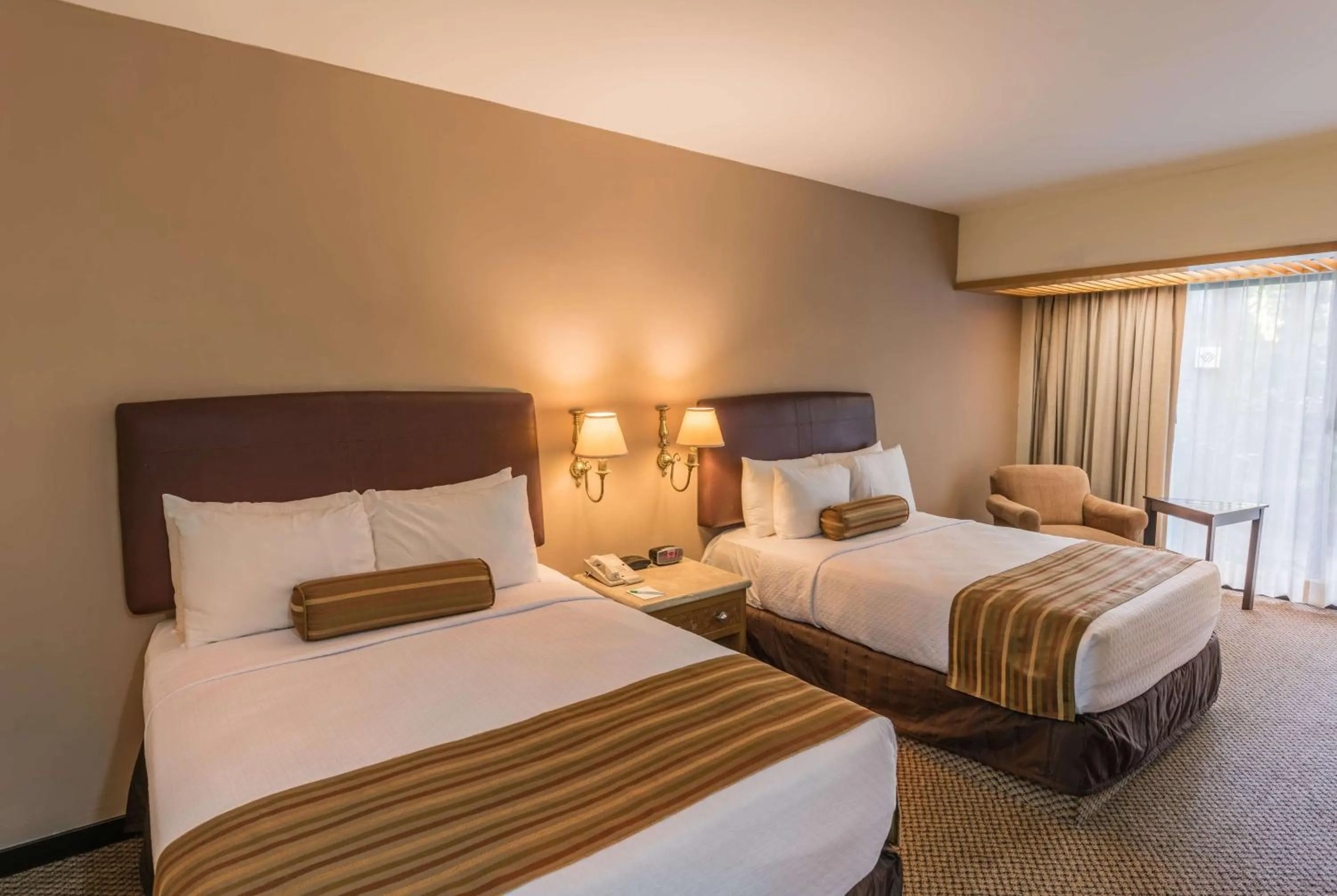 Photo of the whole room, Bed in Wyndham Garden Guadalajara Expo Plaza del Sol