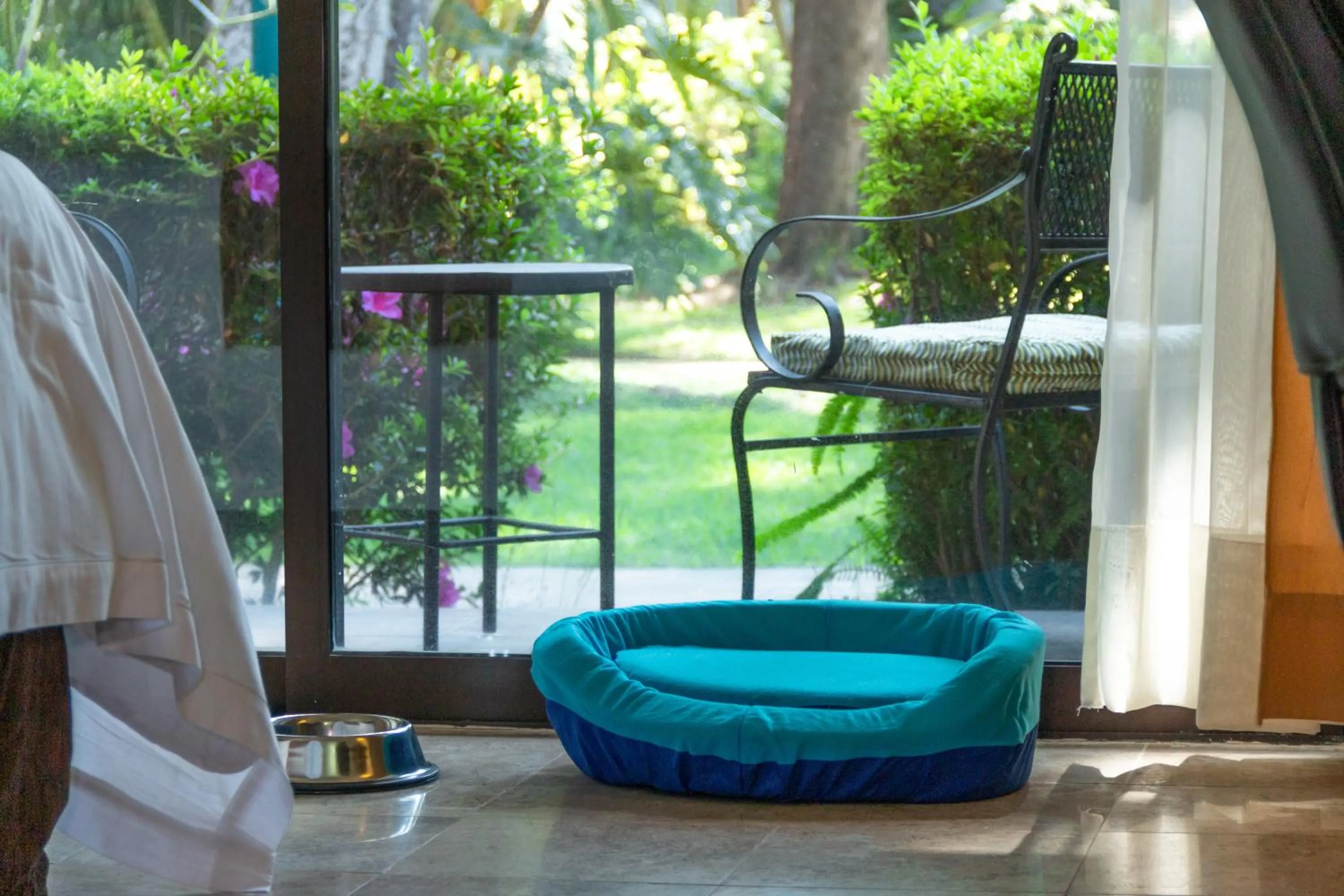 Animals in Wyndham Garden Guadalajara Expo Plaza del Sol