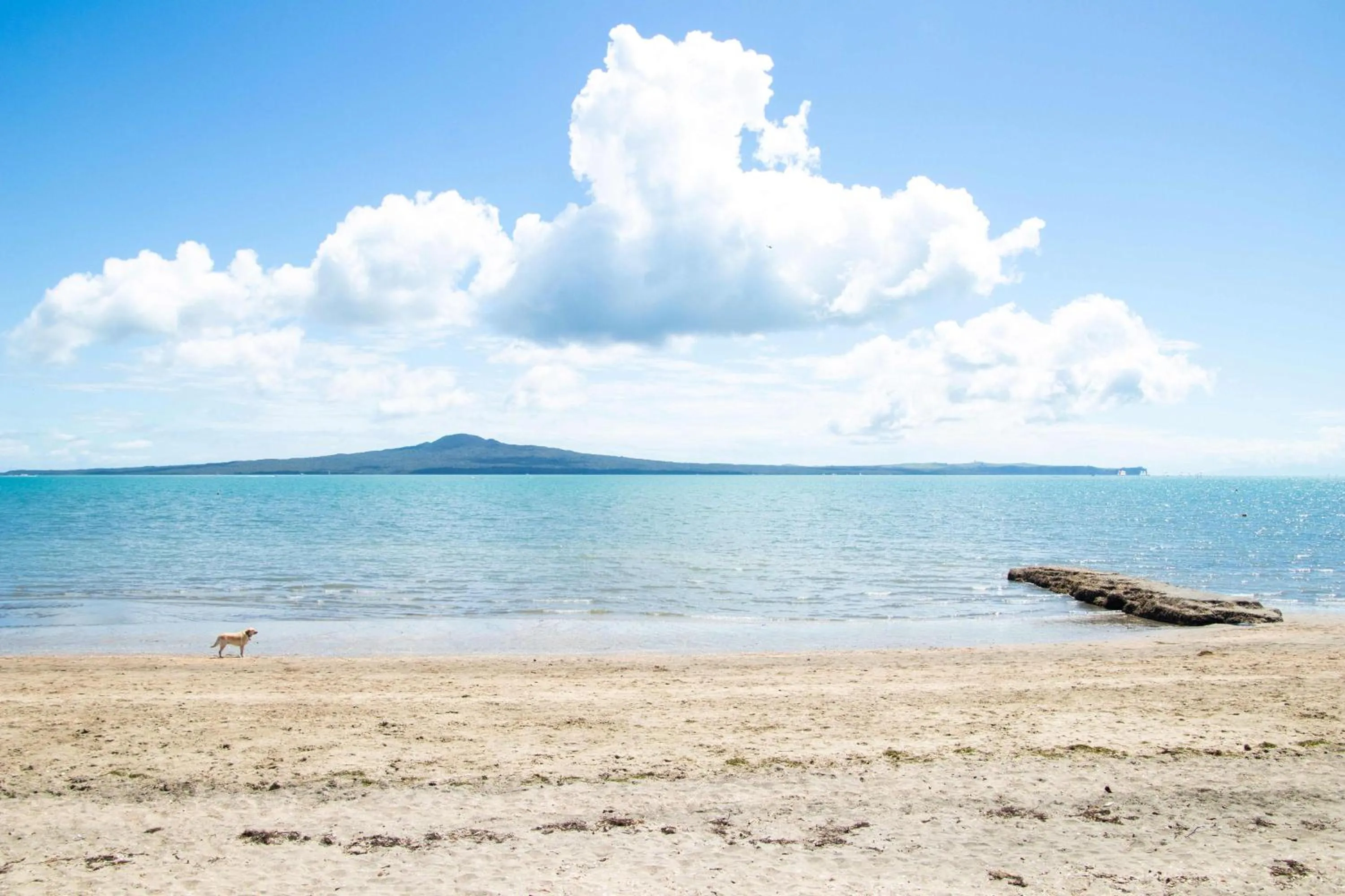 Beach in Aarangi Motel
