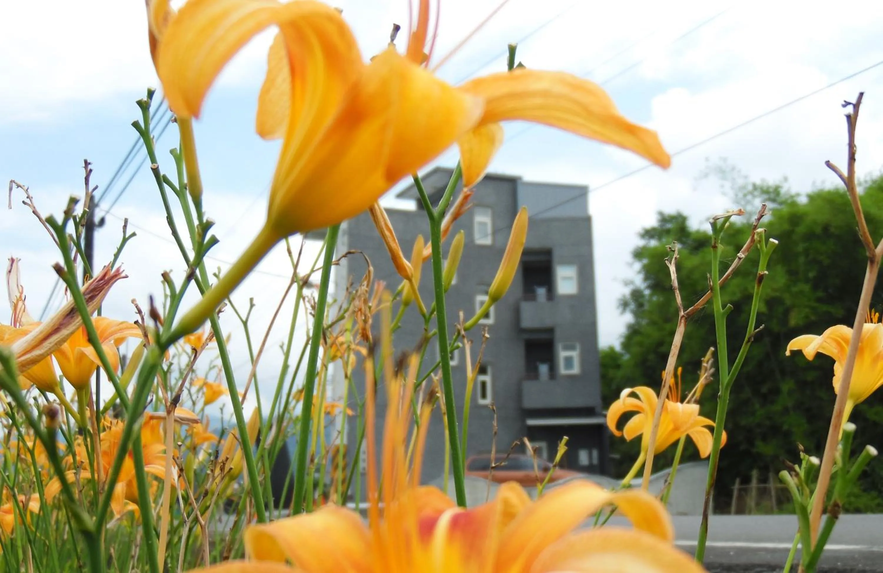 Decorative detail in Footprint Garden B&B
