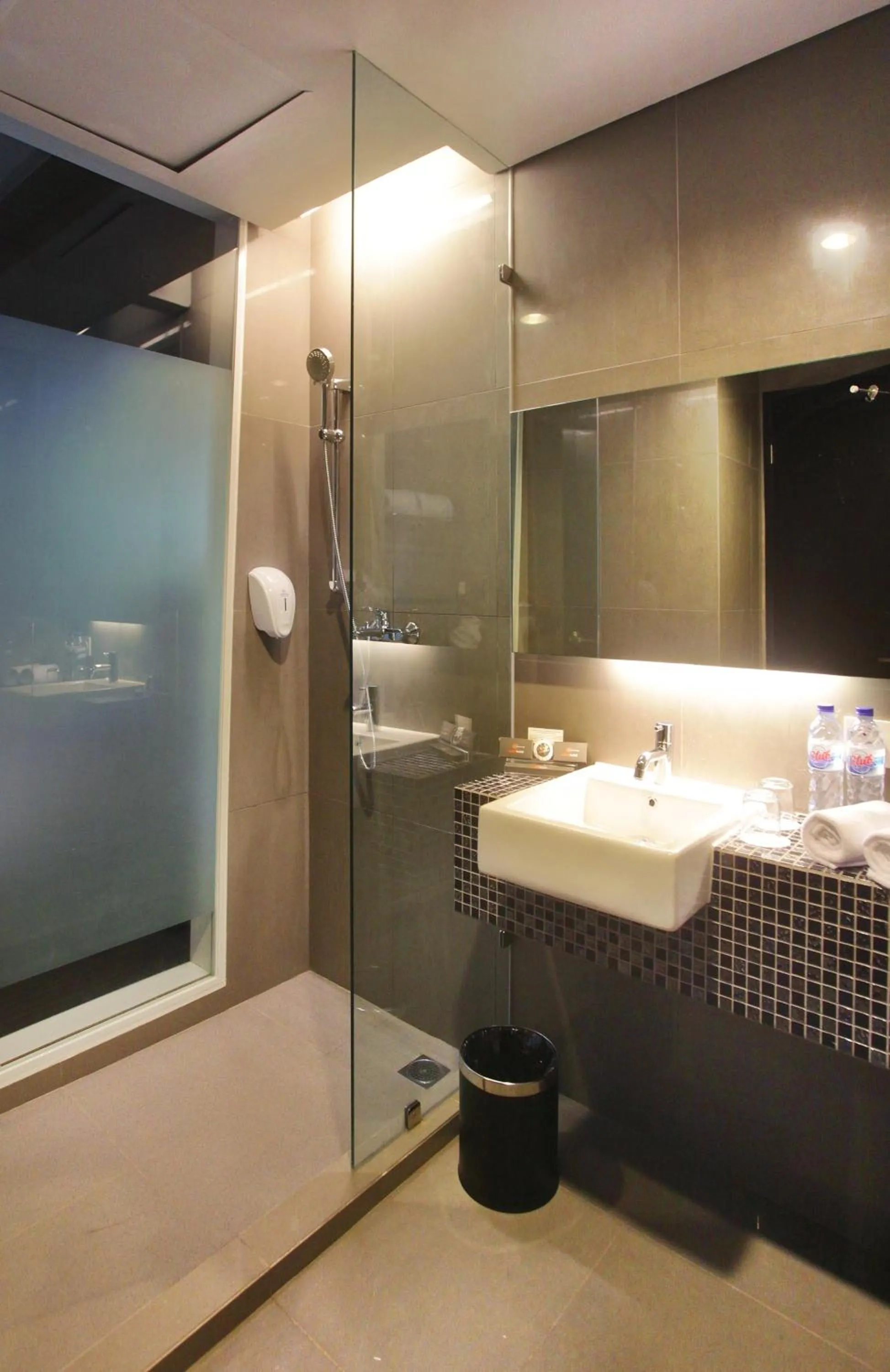 Shower in Cabin Hotel