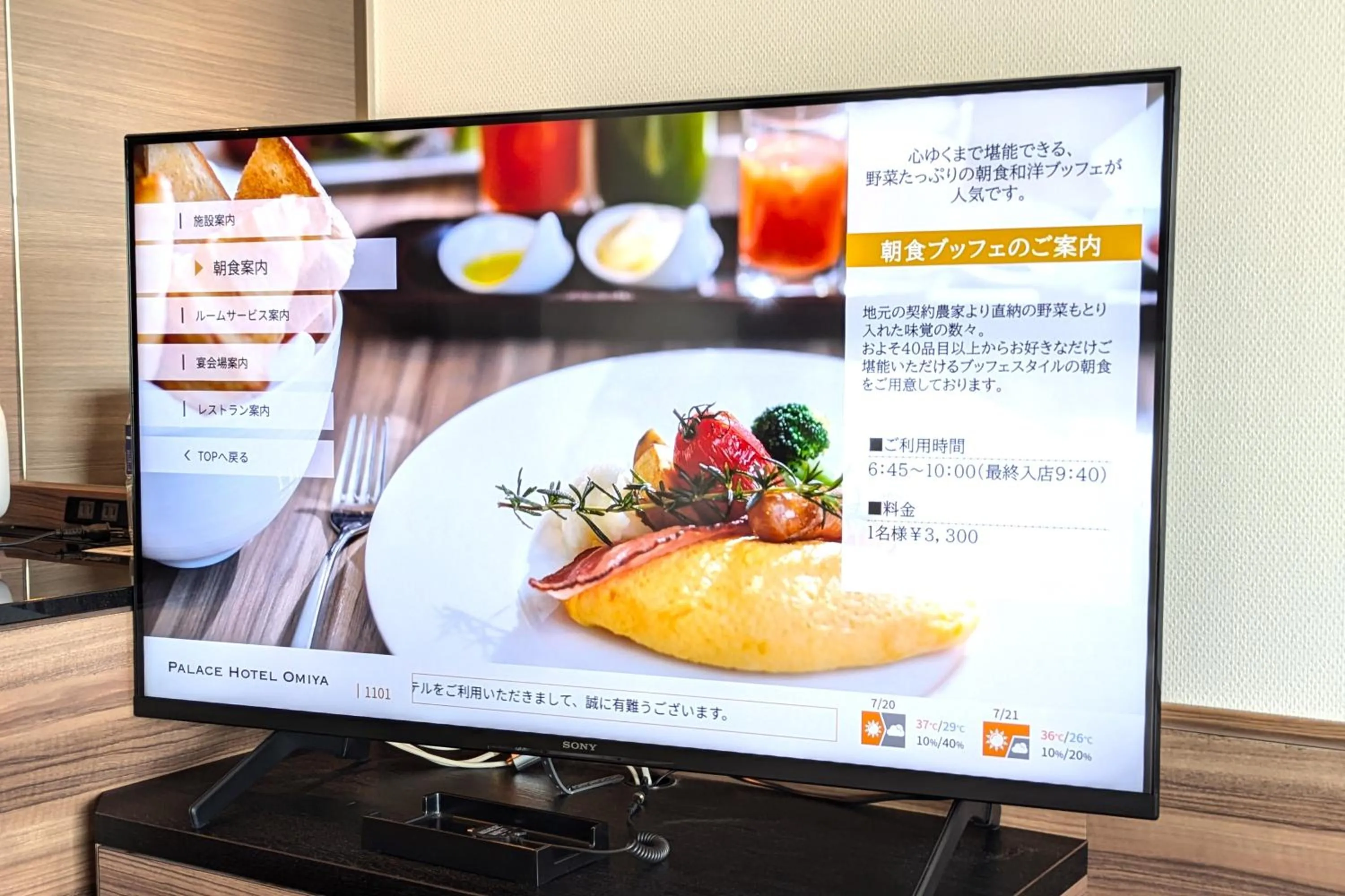 TV and multimedia in Palace Hotel Omiya