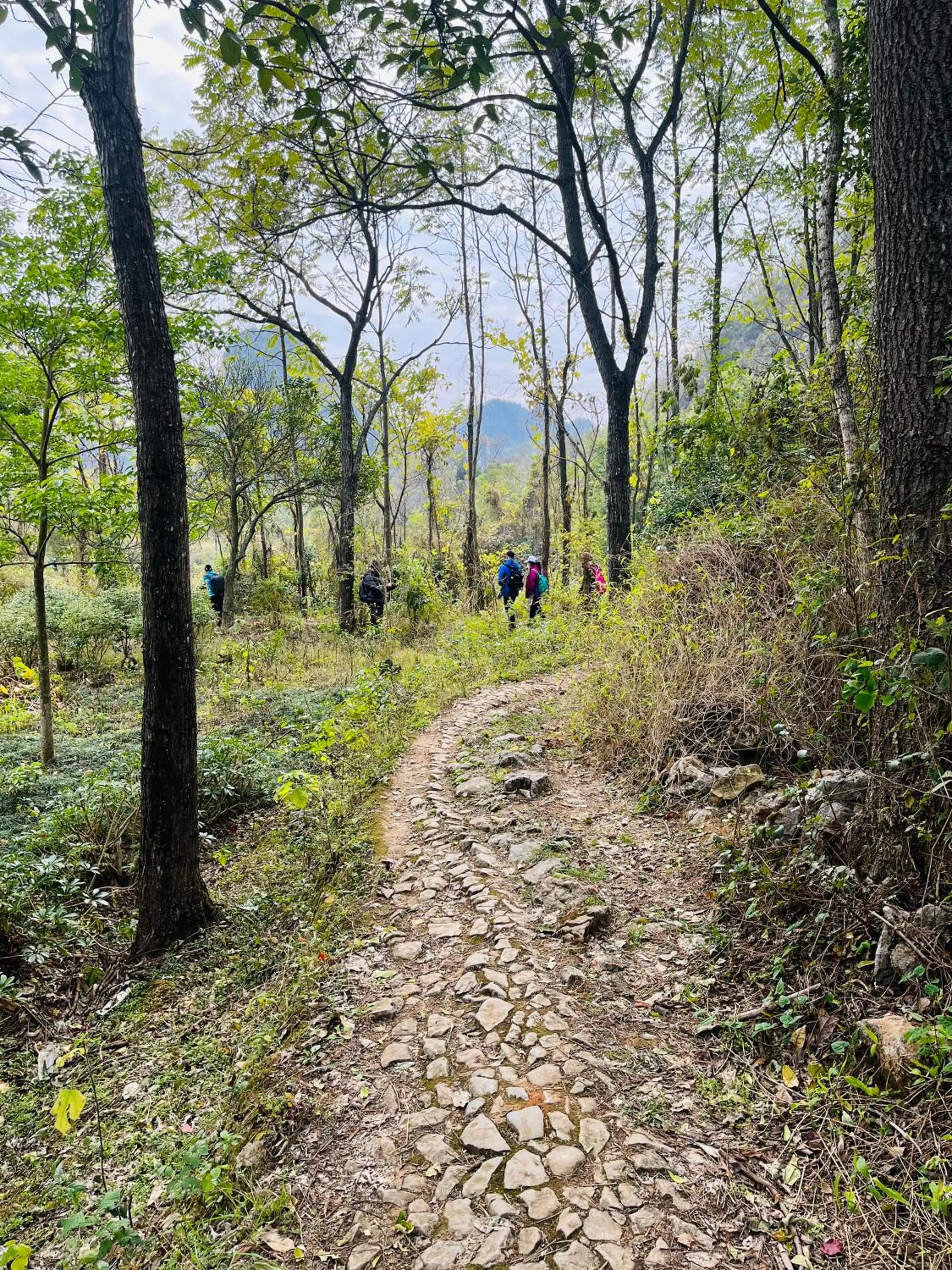 Activities in Junshe Boutique Guest House-Complementary pick up servie for a 3-night stay in a deluxe room