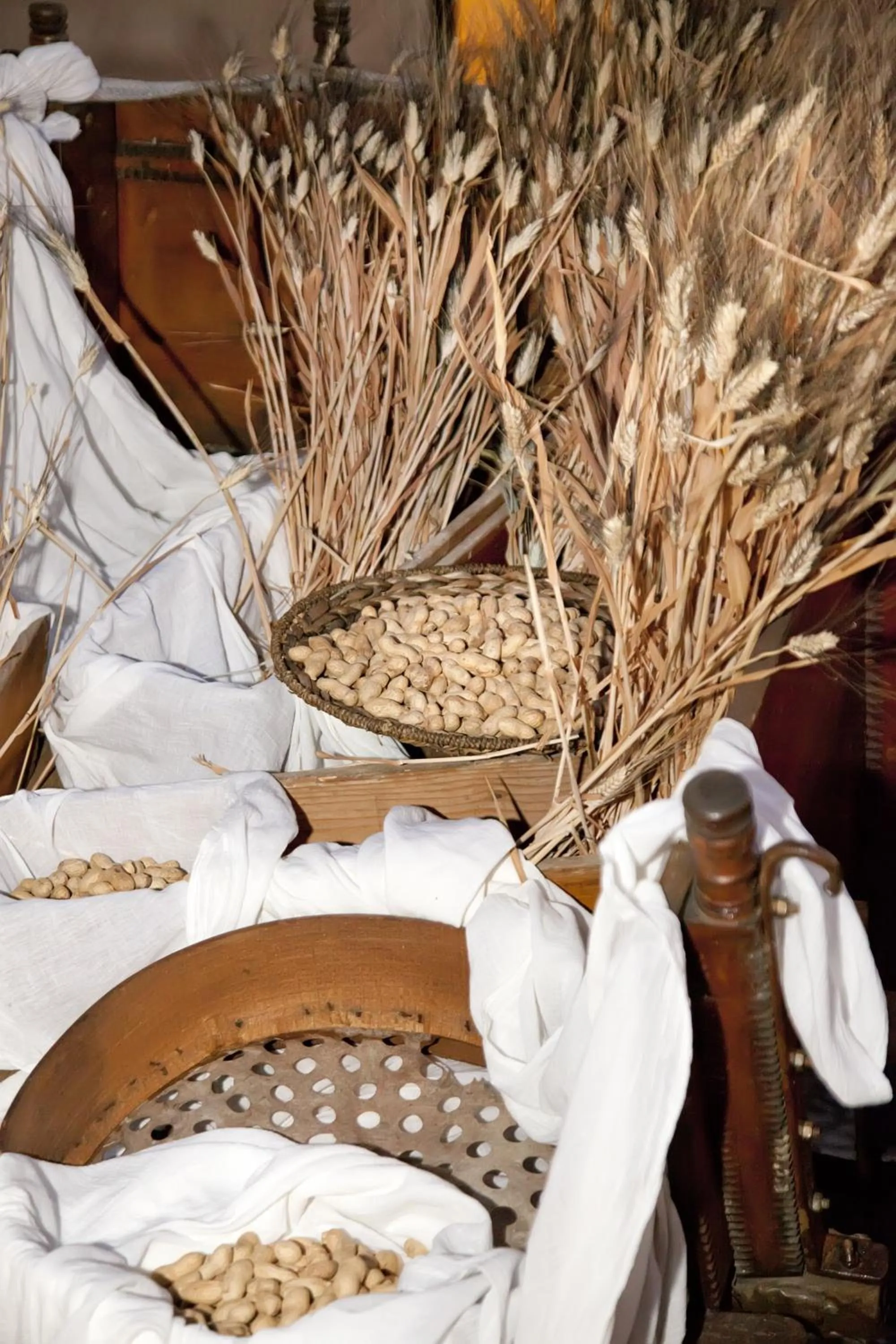 Food in Agriturismo Baglio Fontana