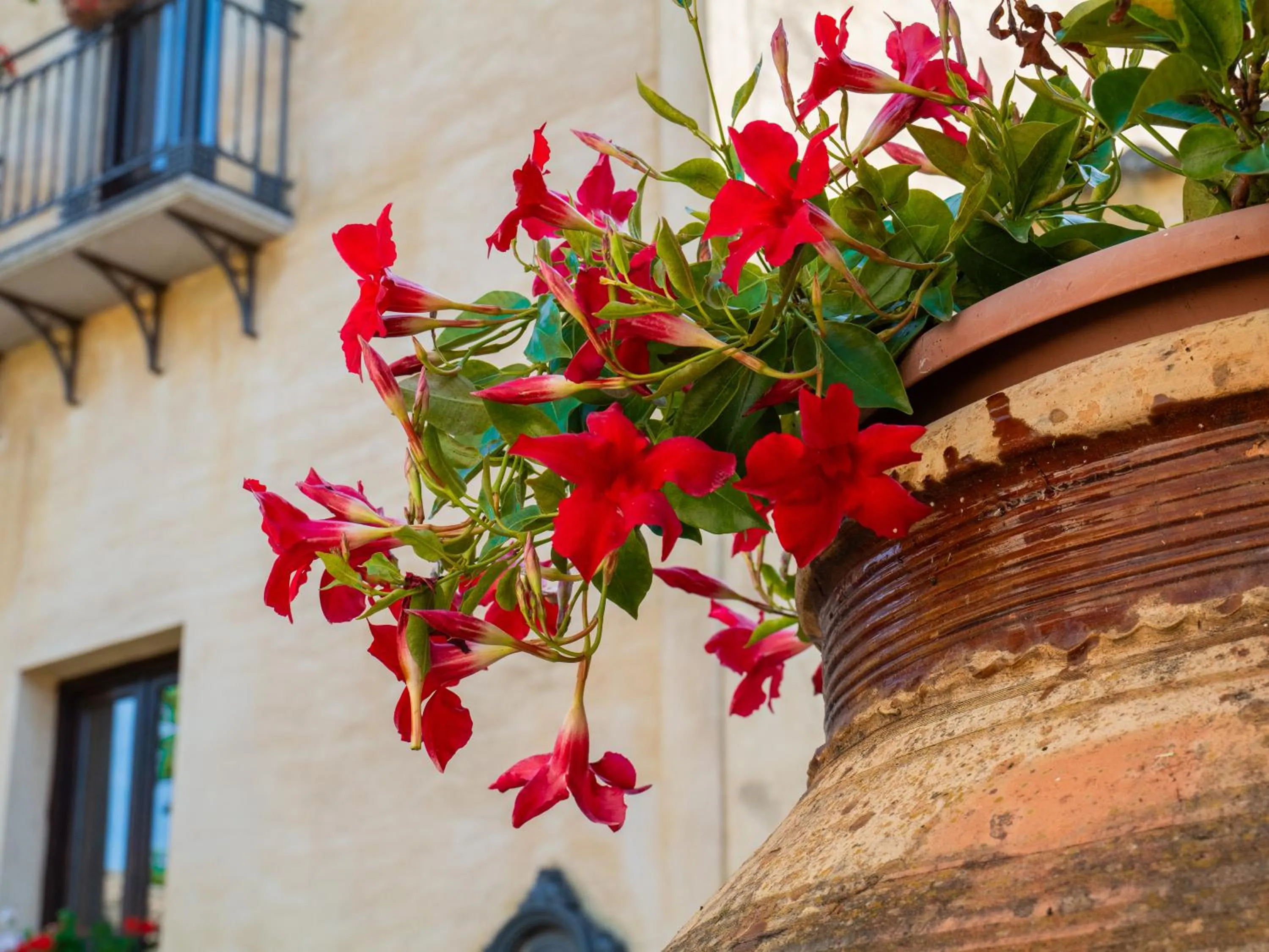 Agriturismo Baglio Fontana