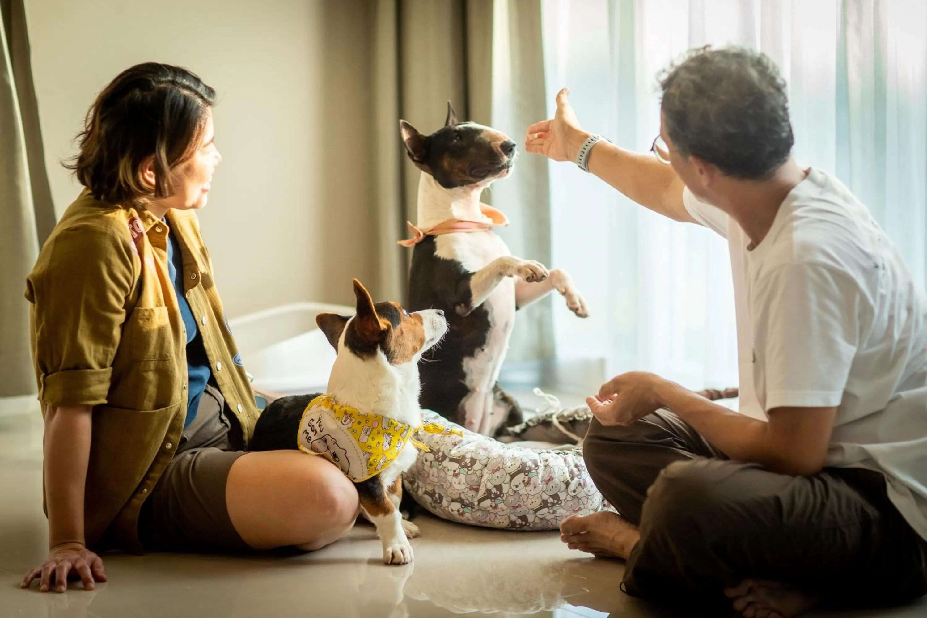 pet friendly in Bangsaen Heritage Hotel