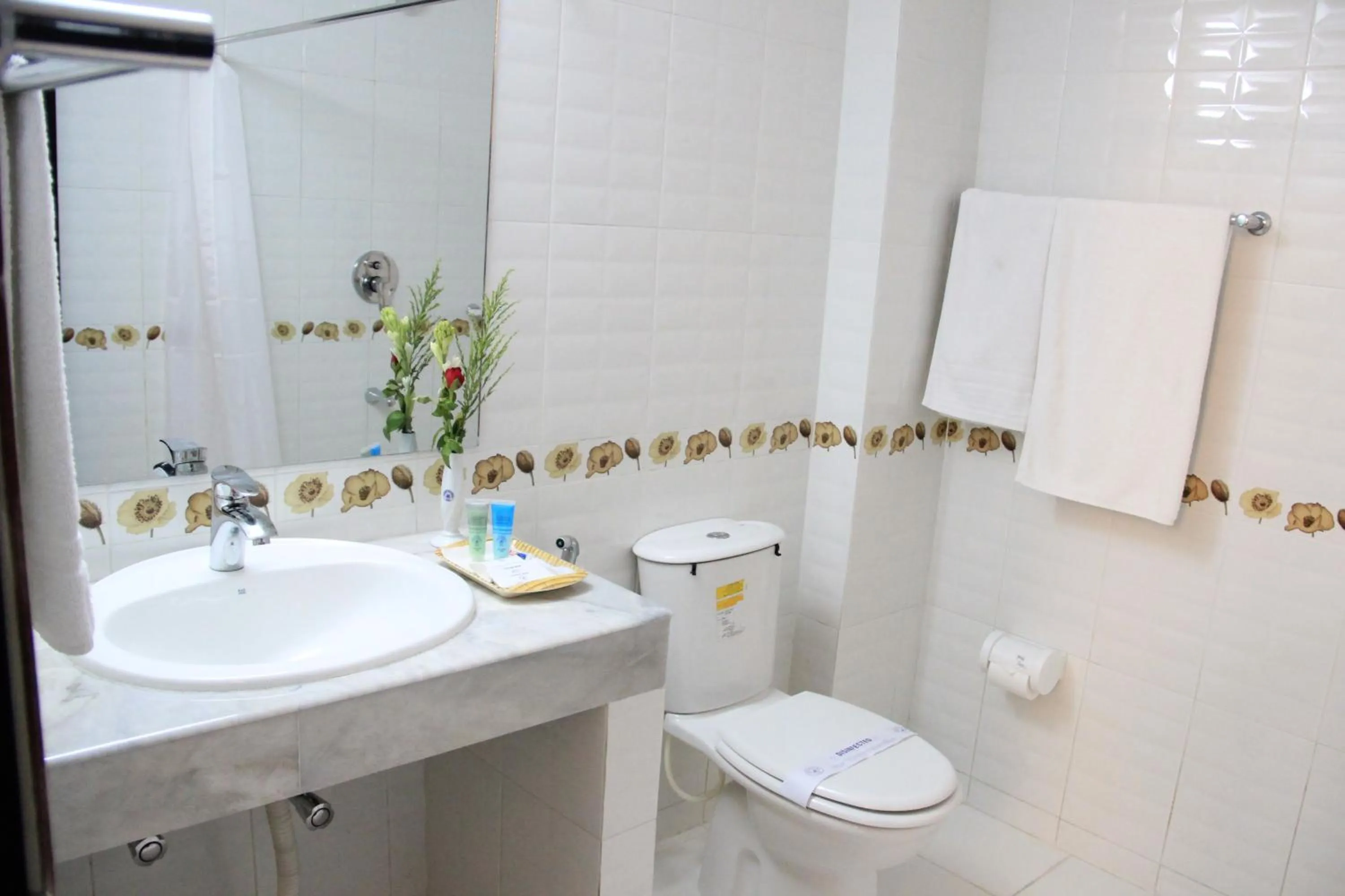 Toilet in Aristocrat Inn - Lake Park & USA club