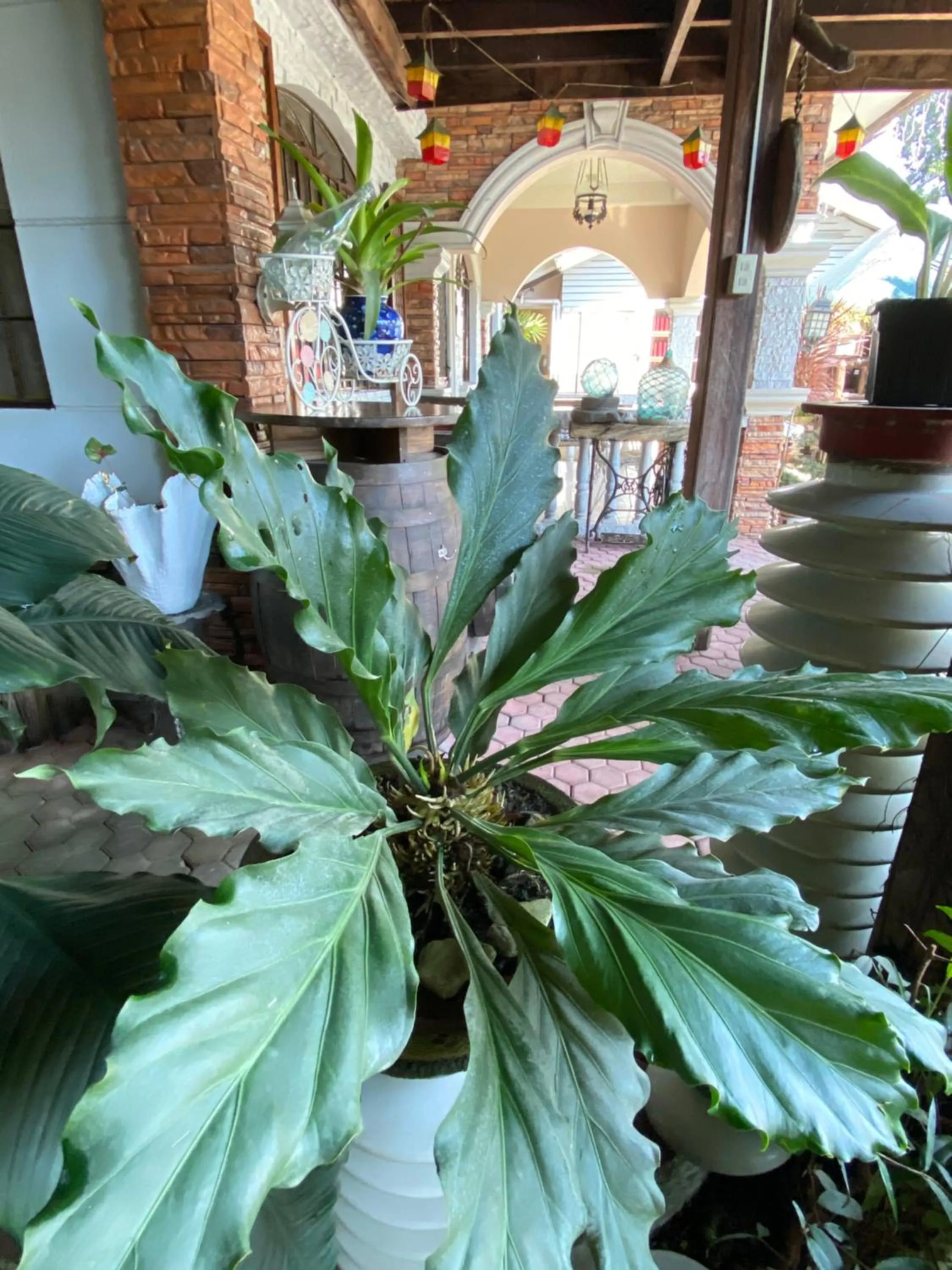 Mount Pinatubo Base Camp at CASA HERMOGINA