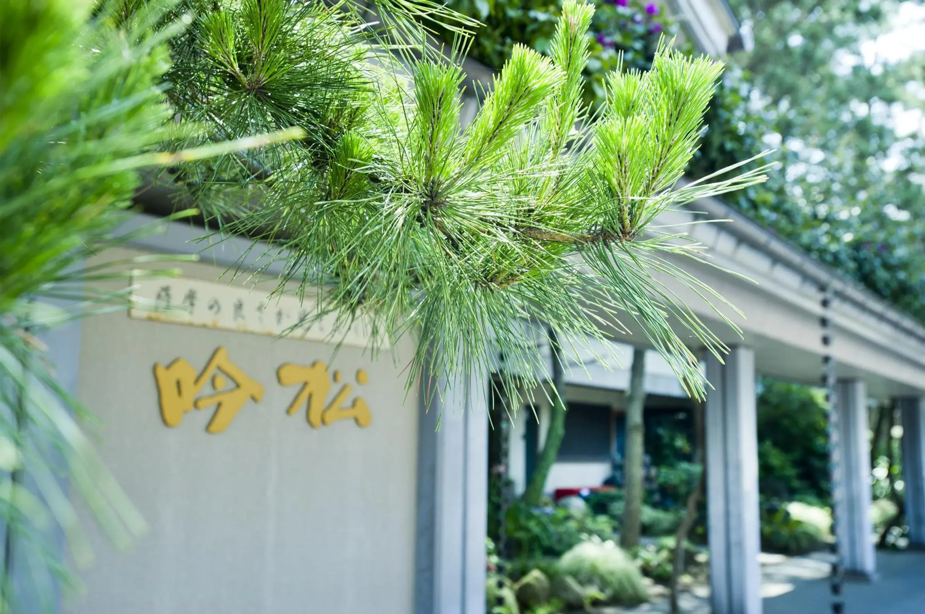 Facade/entrance in Fufurotenburonoyado Ginsyou Facade/entrance in Fufurotenburonoyado Ginsyou