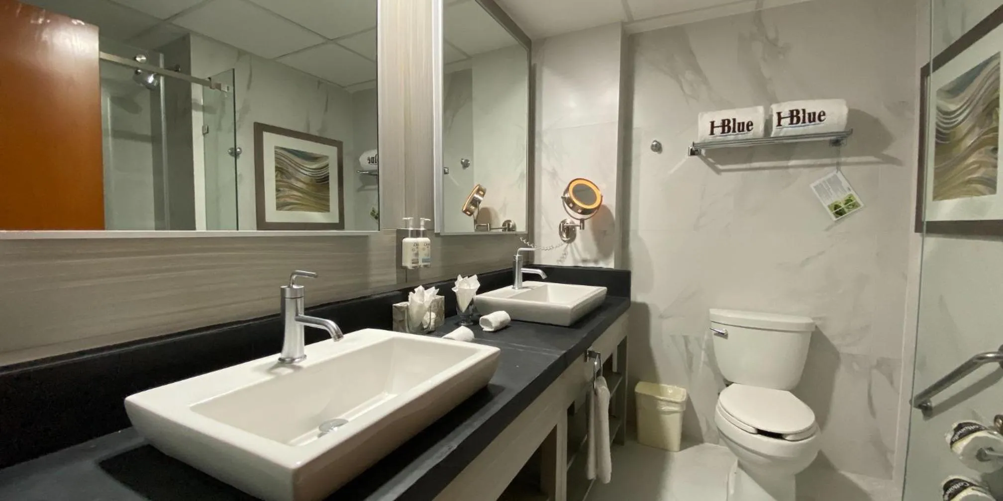 Toilet in Hotel HBlue Malecón