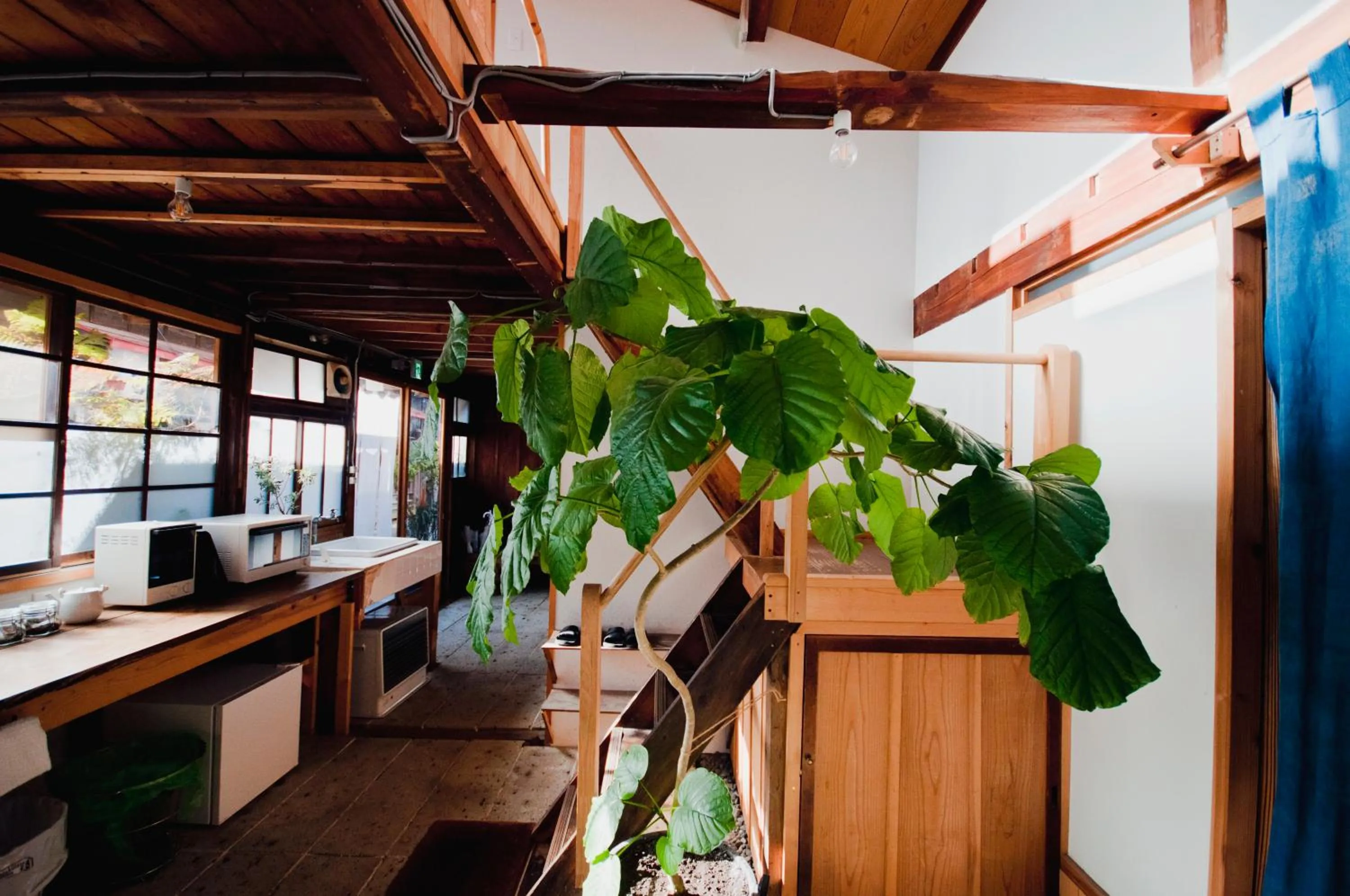 Lounge or bar in Hostel Saruya