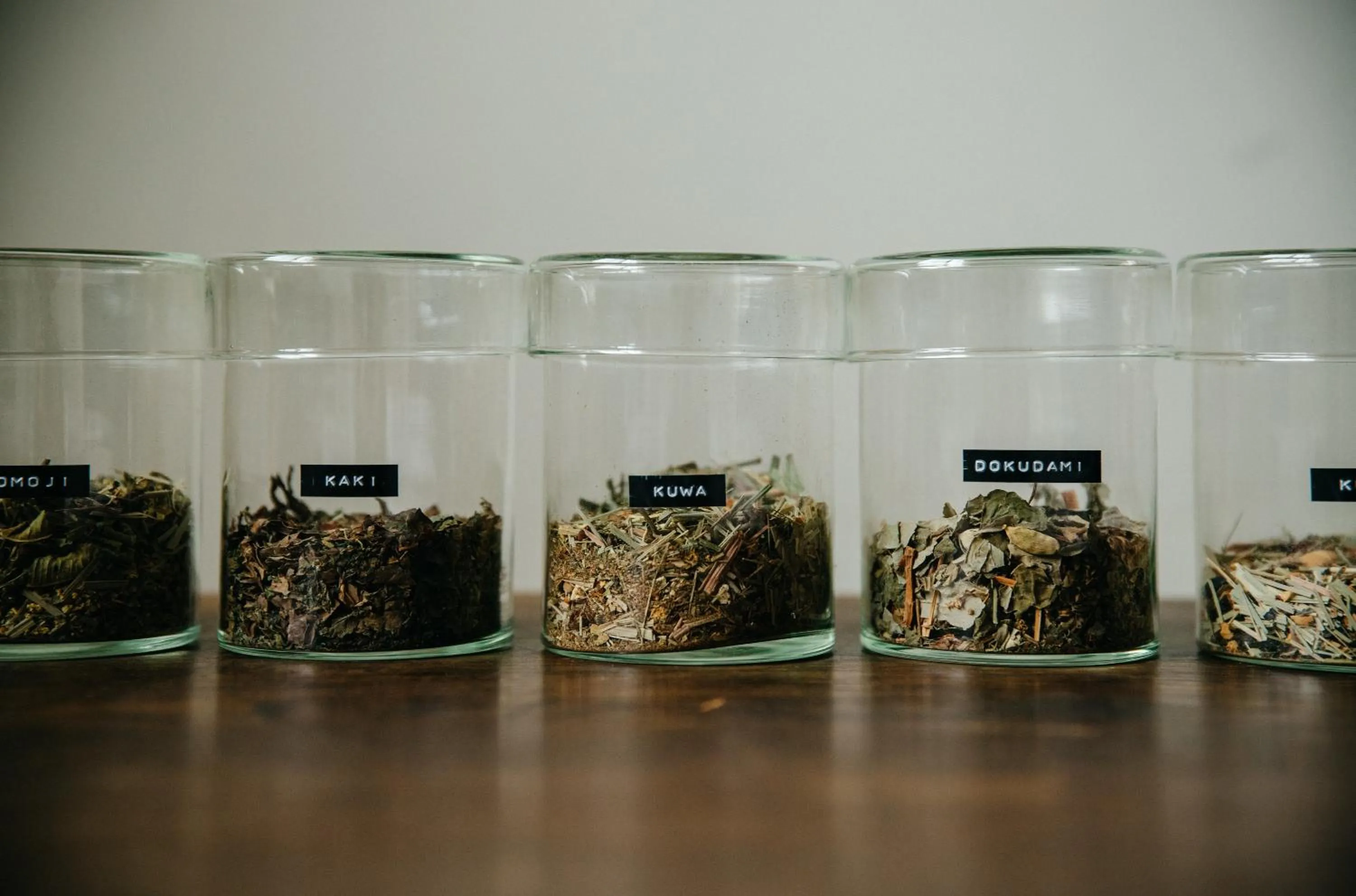 Communal lounge/ TV room in Hostel Saruya