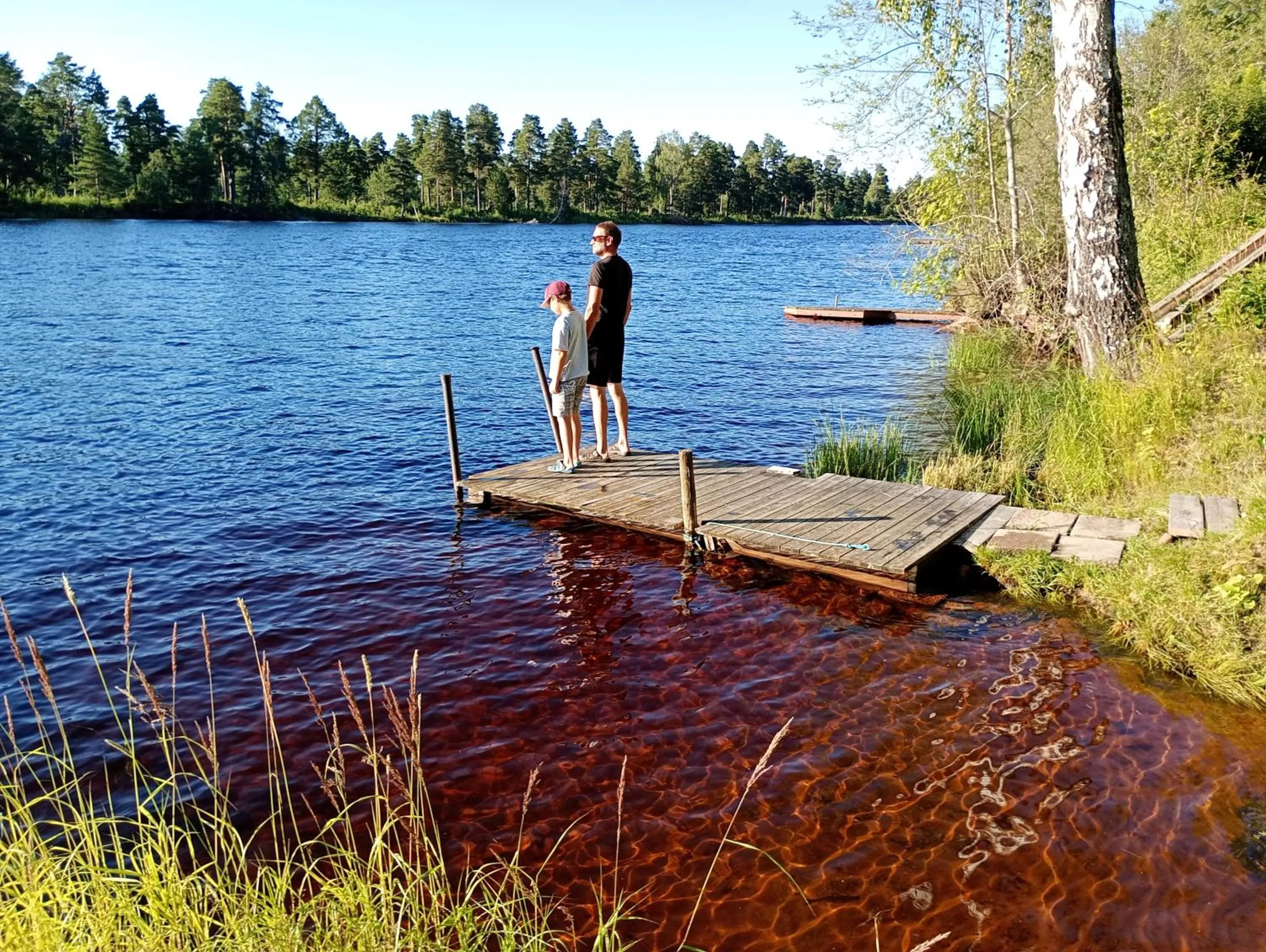 Beach in Kristinebergs Bed & Breakfast