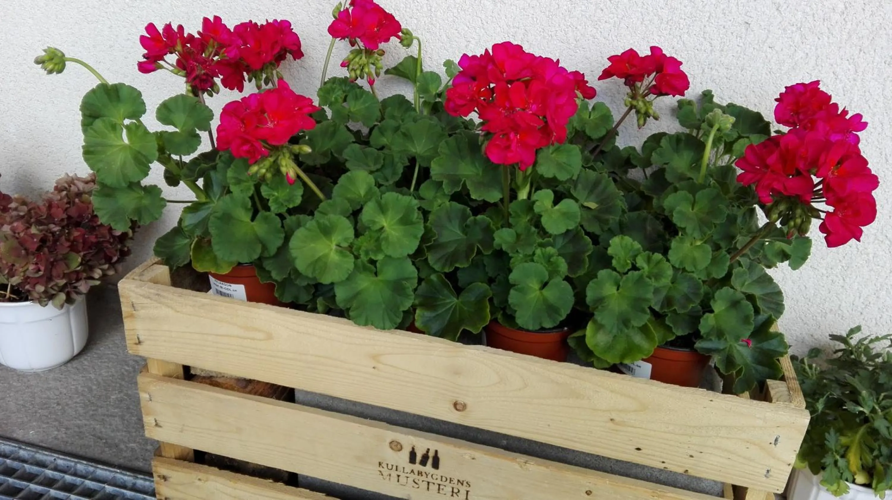 Decorative detail in Kristinebergs Bed & Breakfast