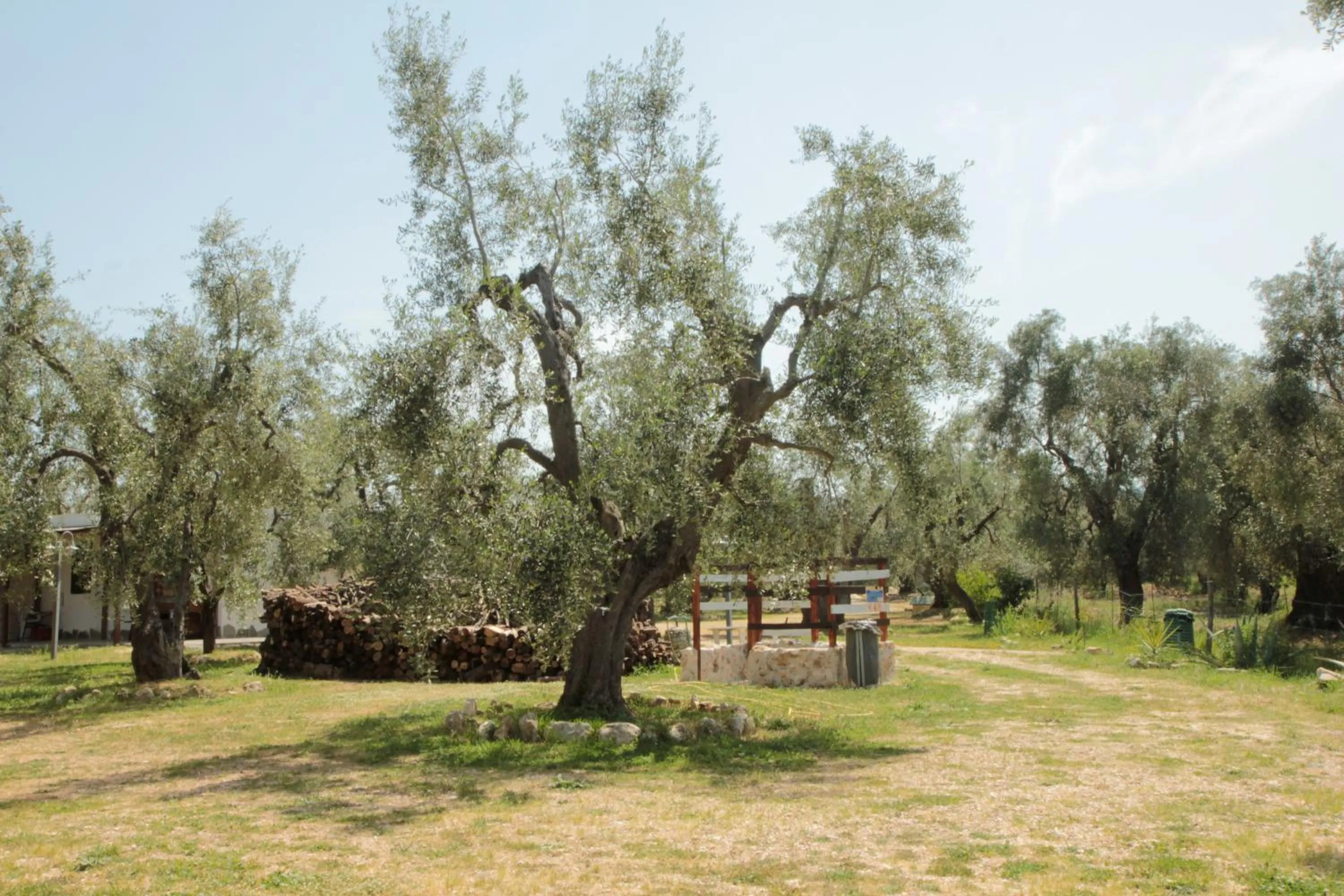 Natural landscape in Coppola Rossa Relax