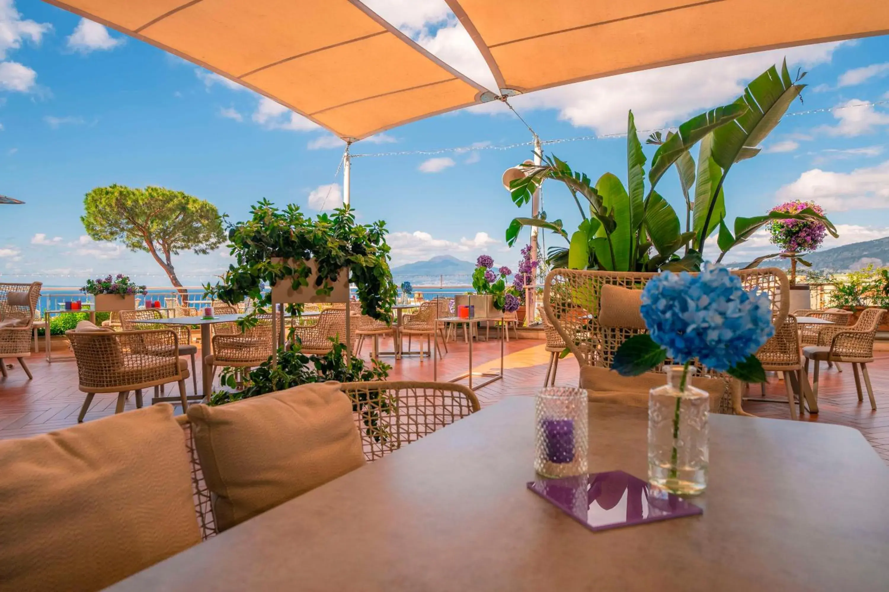 Restaurant/places to eat in Hilton Sorrento Palace Restaurant/places to eat in Hilton Sorrento Palace