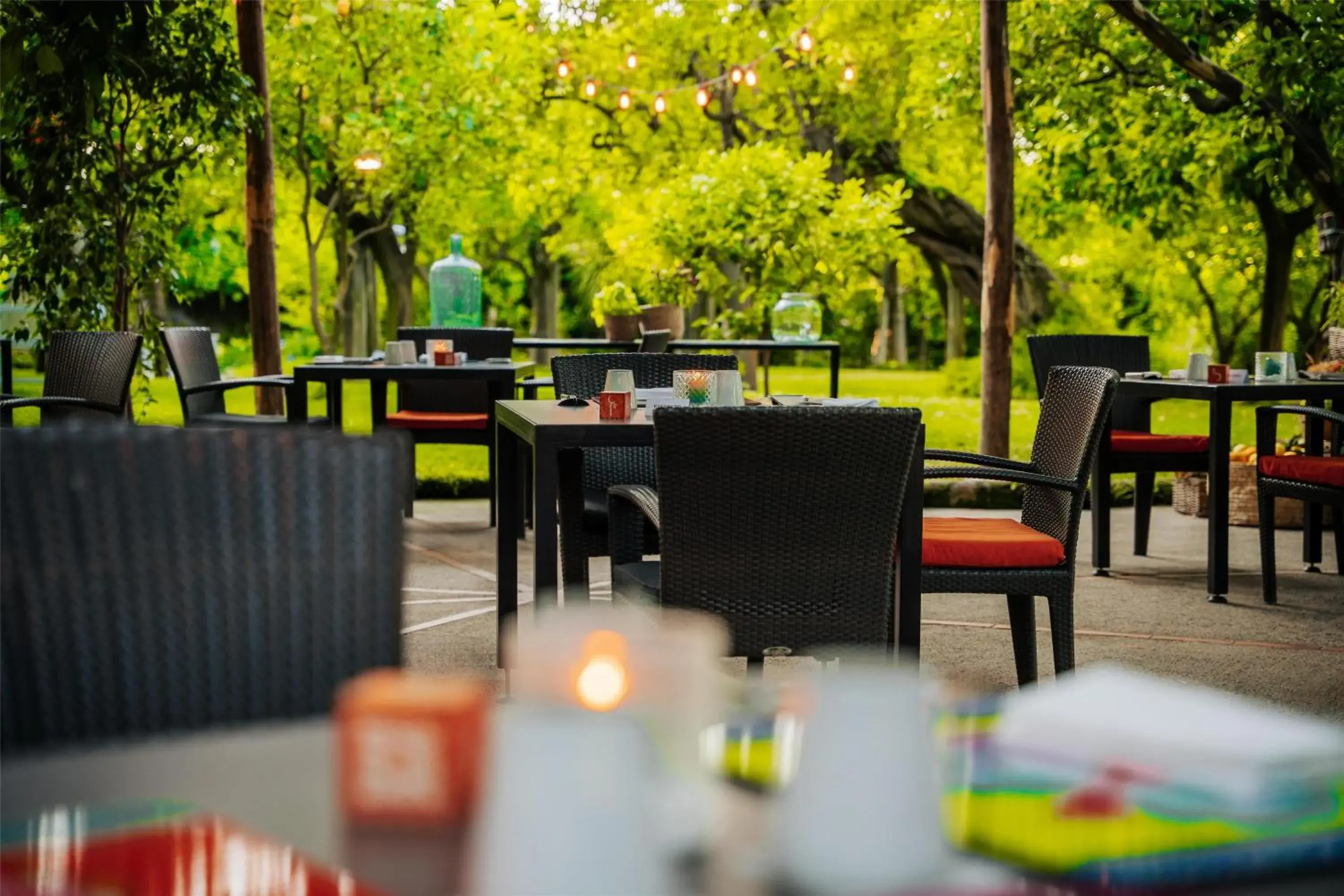 Restaurant/places to eat in Hilton Sorrento Palace Restaurant/places to eat in Hilton Sorrento Palace