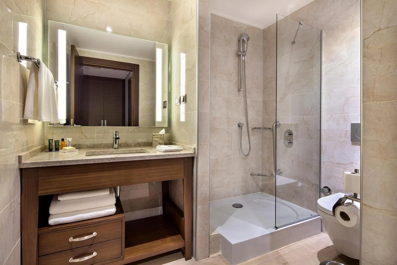 Shower in Hilton Garden Inn Izmir Bayrakli