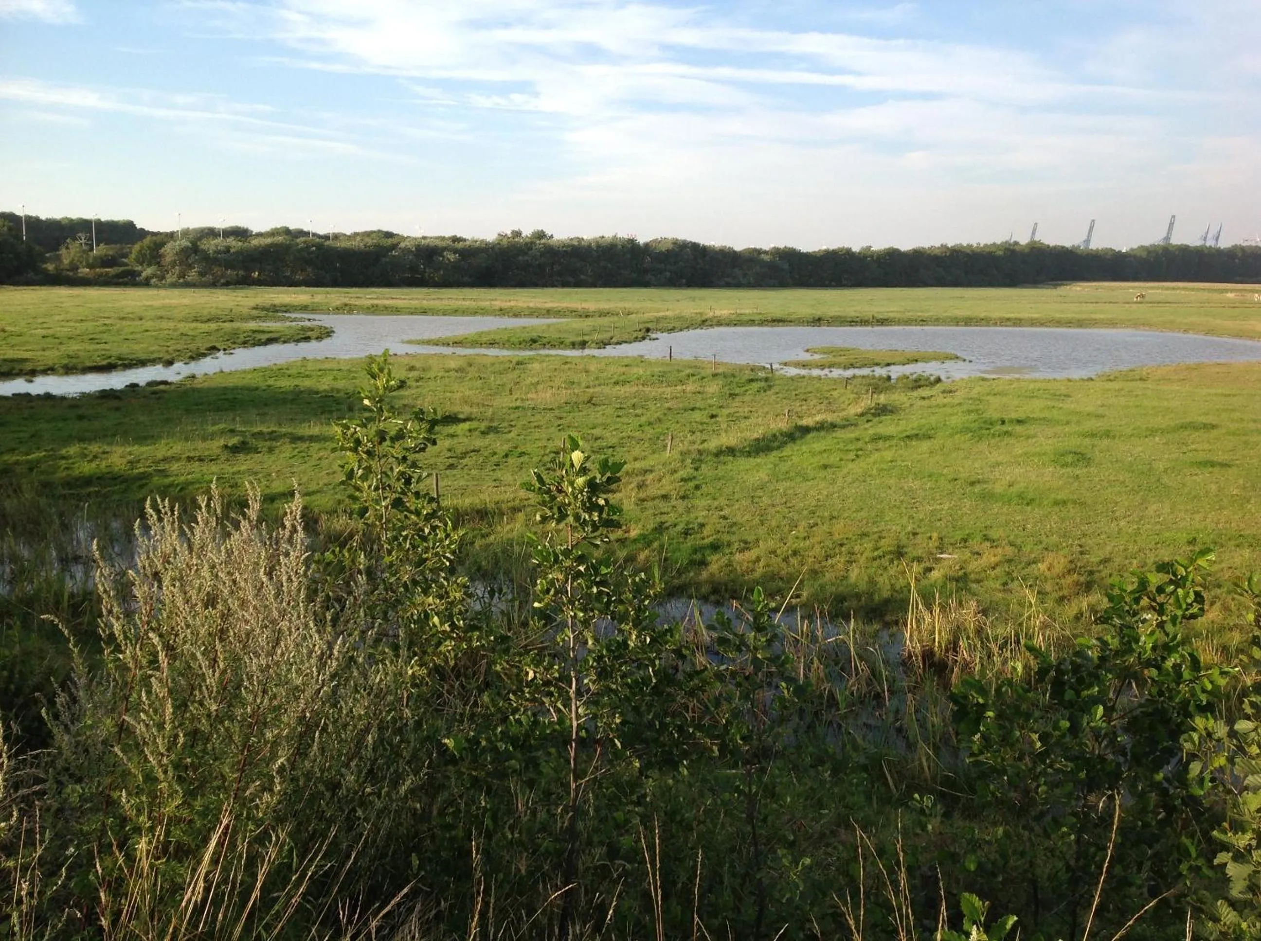Natural landscape in Kokkelikoo