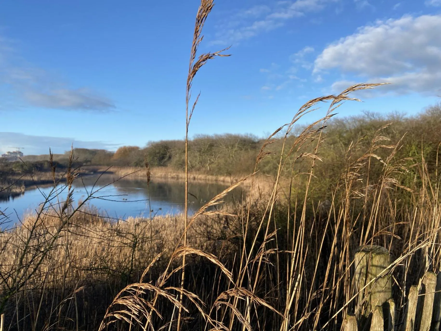 Natural landscape in Kokkelikoo