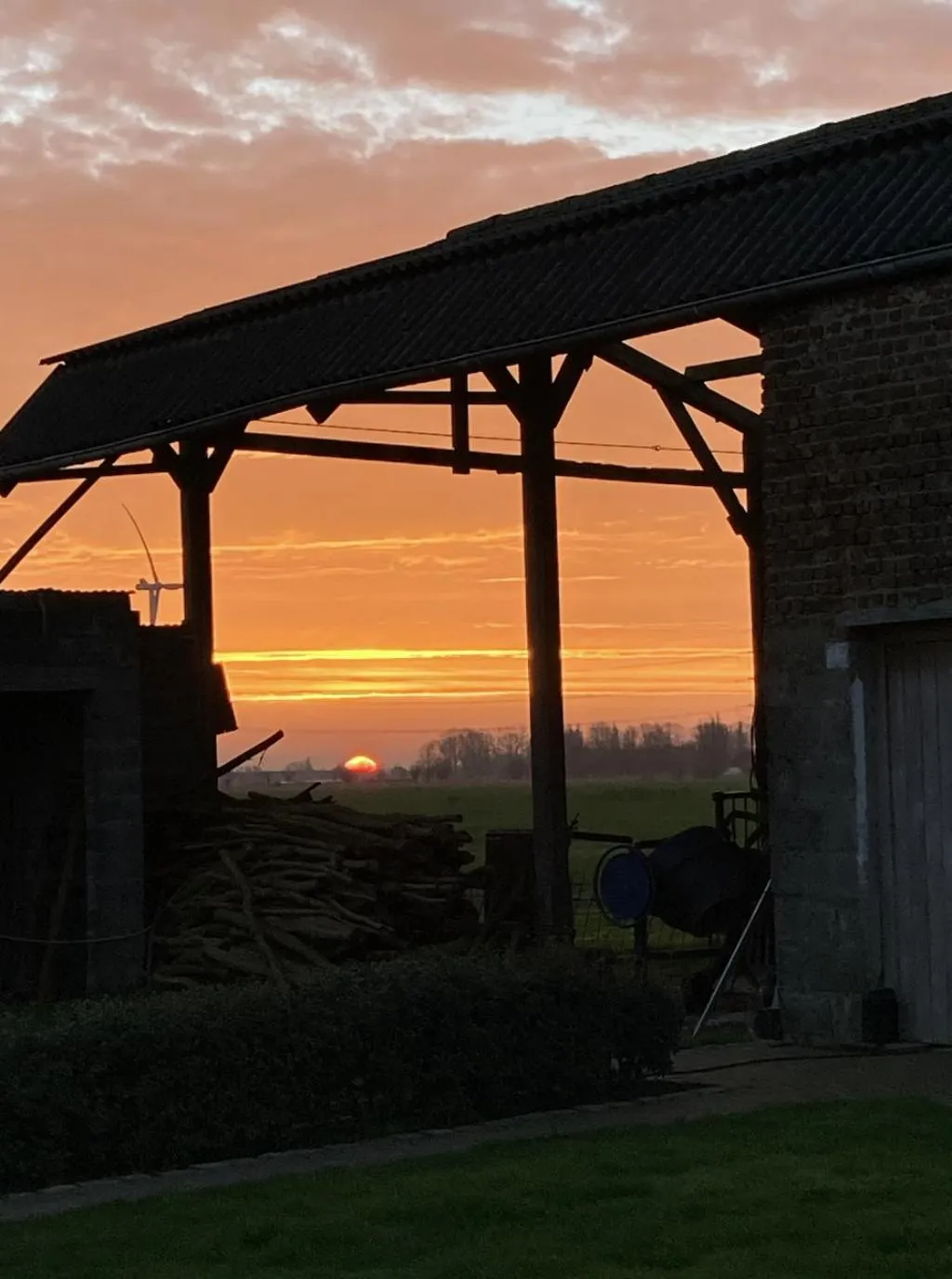 Garden view in Kokkelikoo