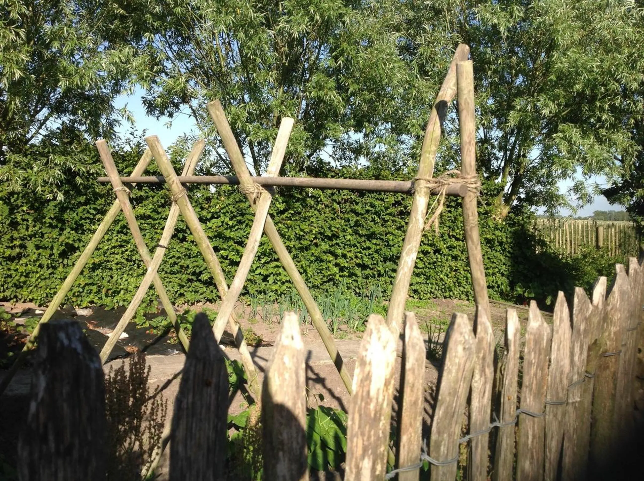 View (from property/room) in Kokkelikoo