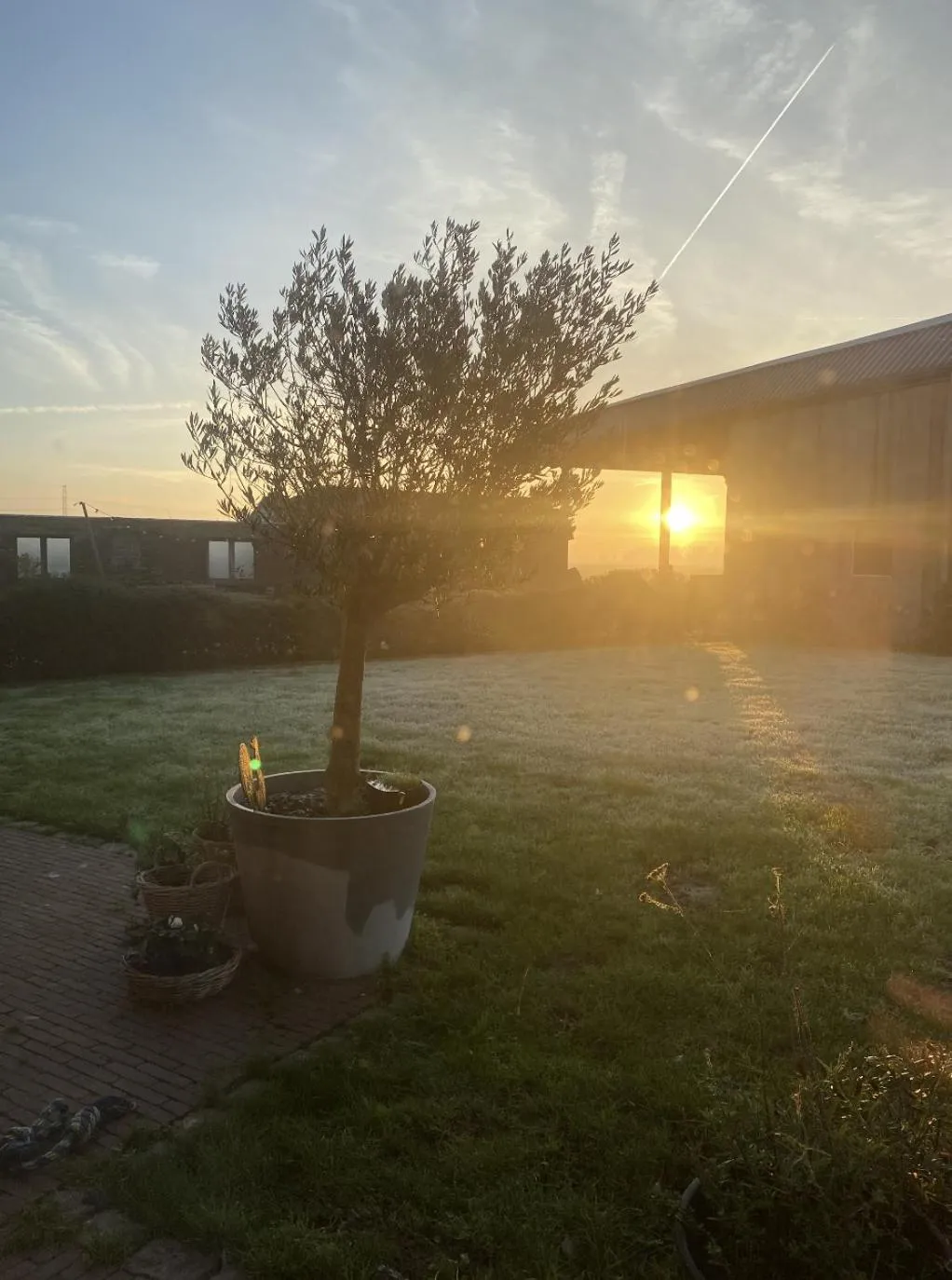 Garden view in Kokkelikoo