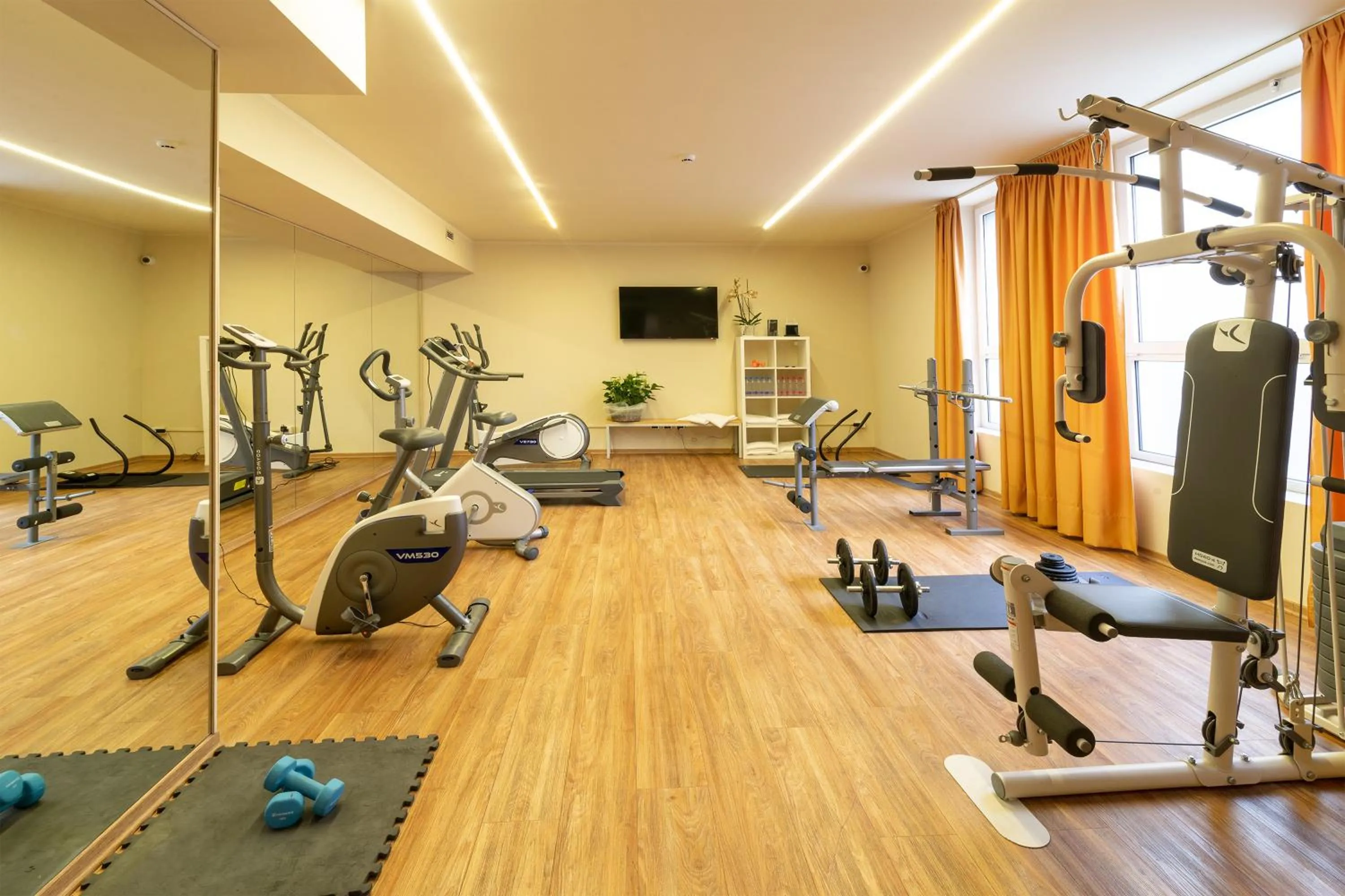 Fitness centre/facilities in Hotel Silver Milano