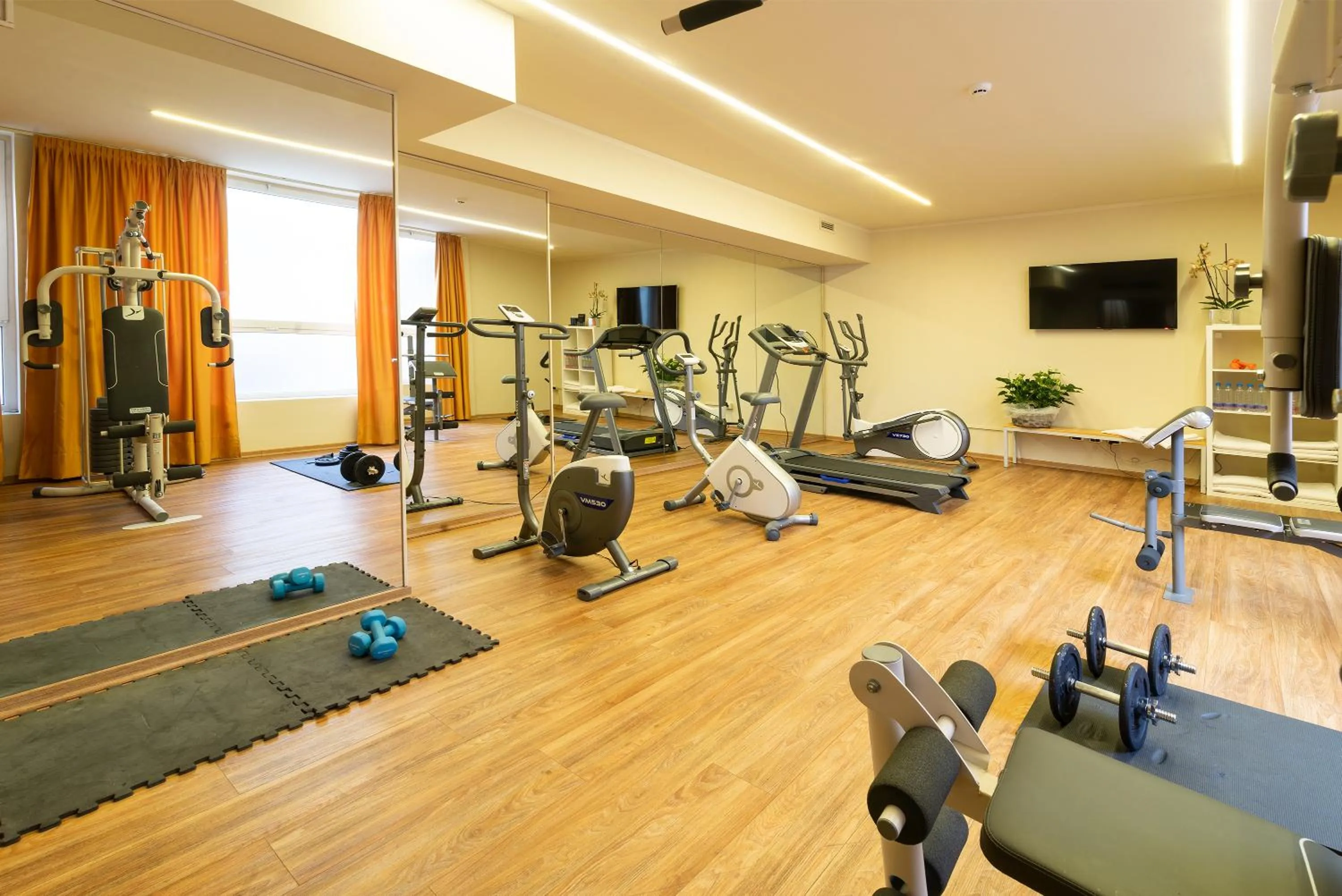 Fitness centre/facilities in Hotel Silver Milano