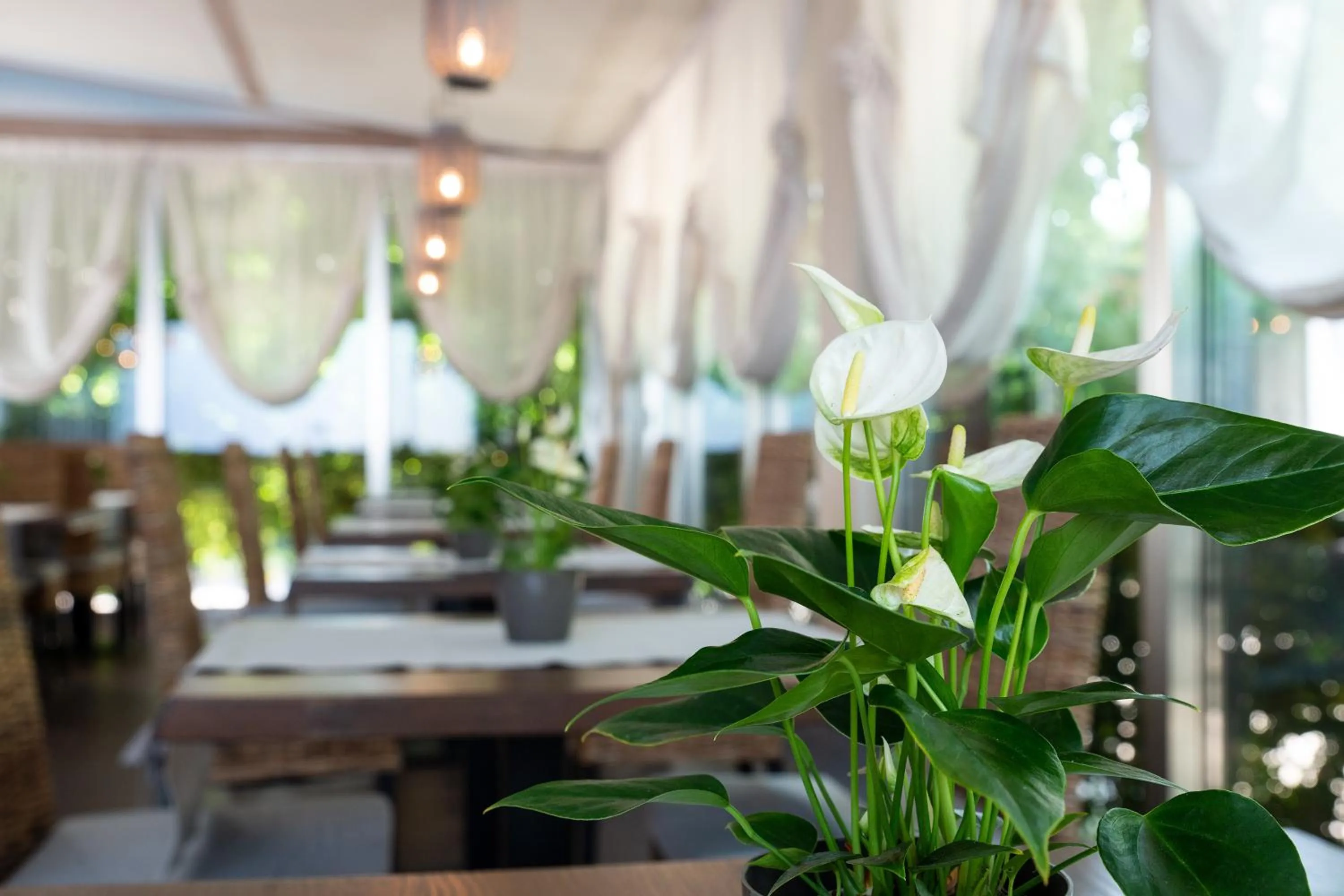 Decorative detail in Hotel Silver Milano