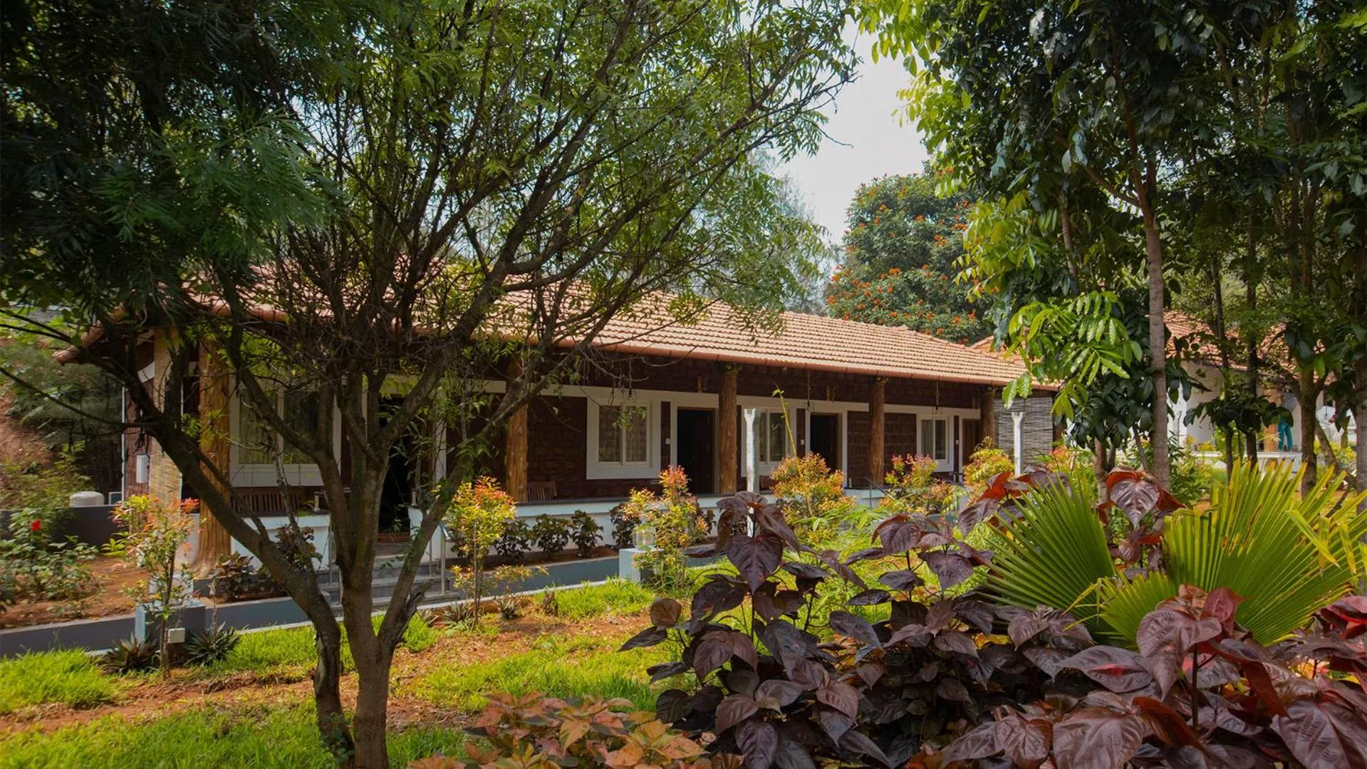 Property building in AARA Jungle Resort