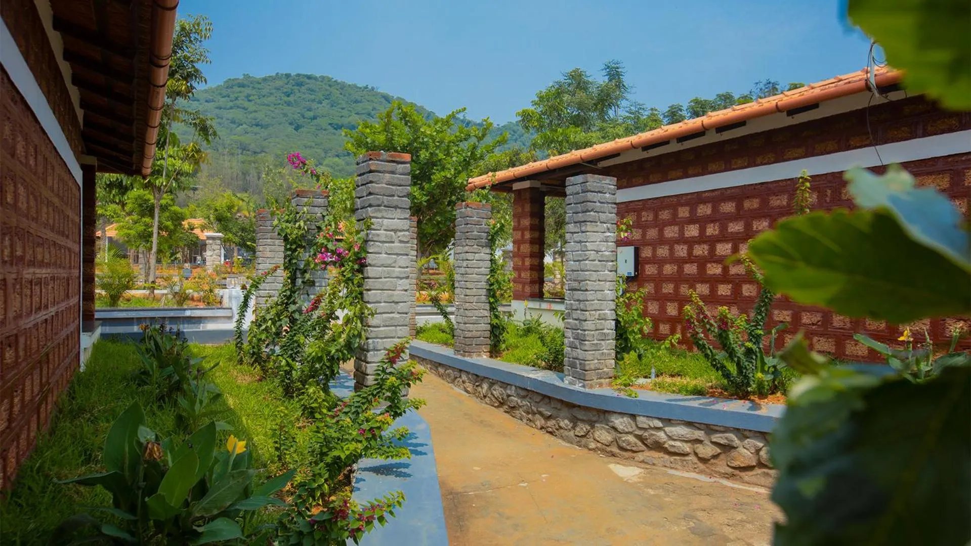 Natural landscape in AARA Jungle Resort