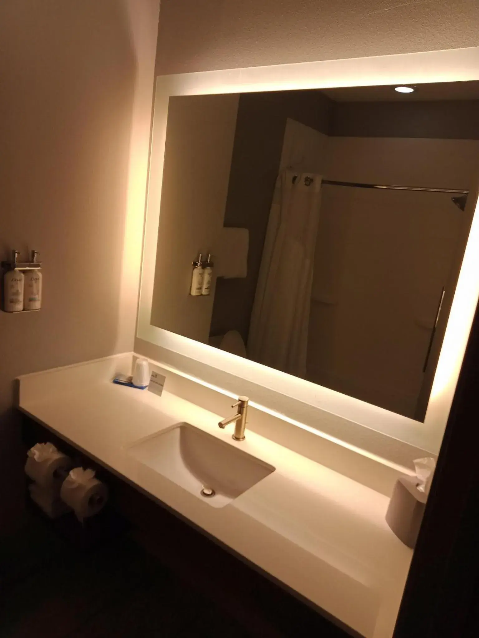 Bathroom in Holiday Inn Express & Suites Bonham by IHG Bathroom in Holiday Inn Express & Suites Bonham by IHG