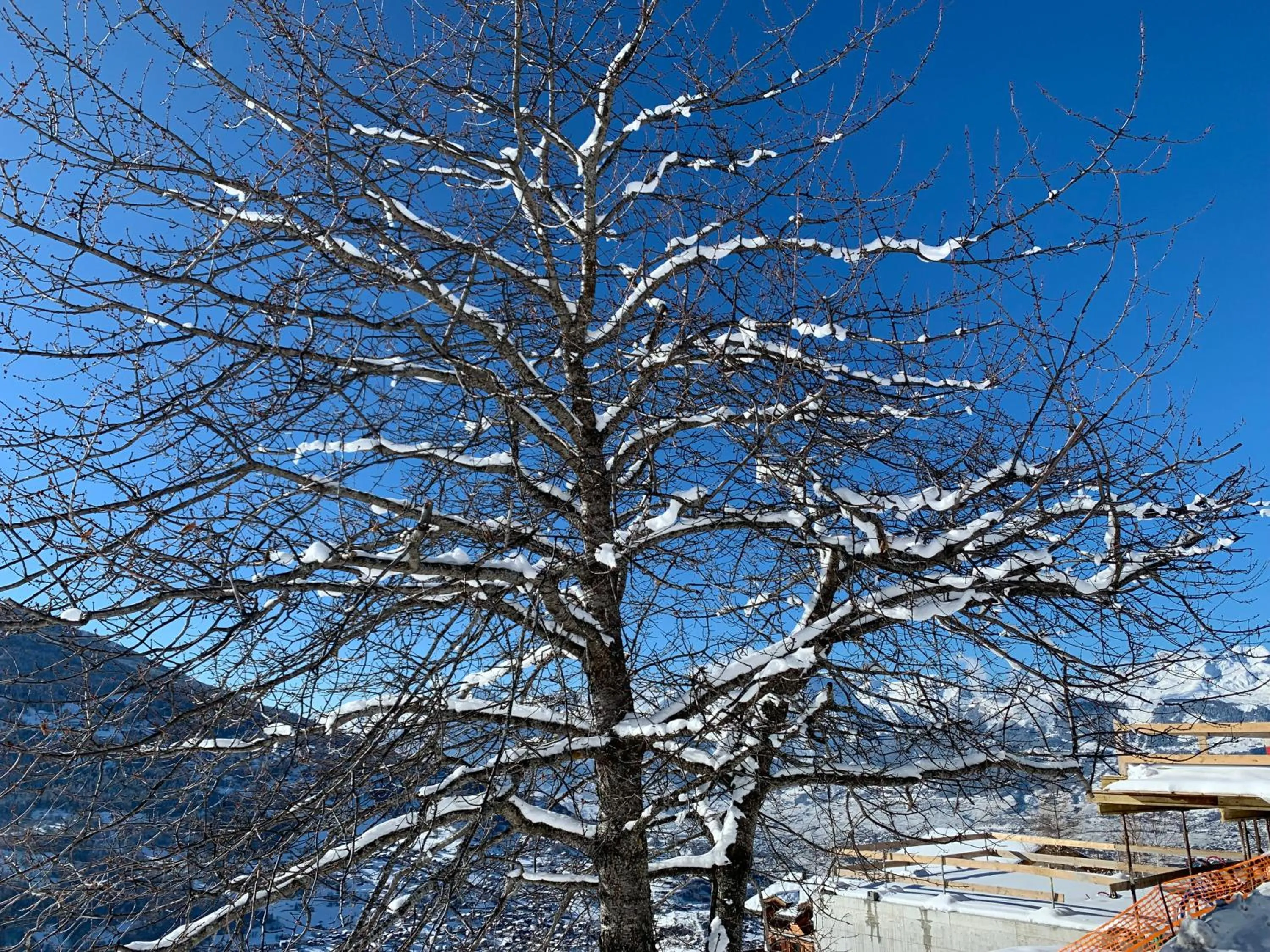 Day in La Cure de Vernamiège