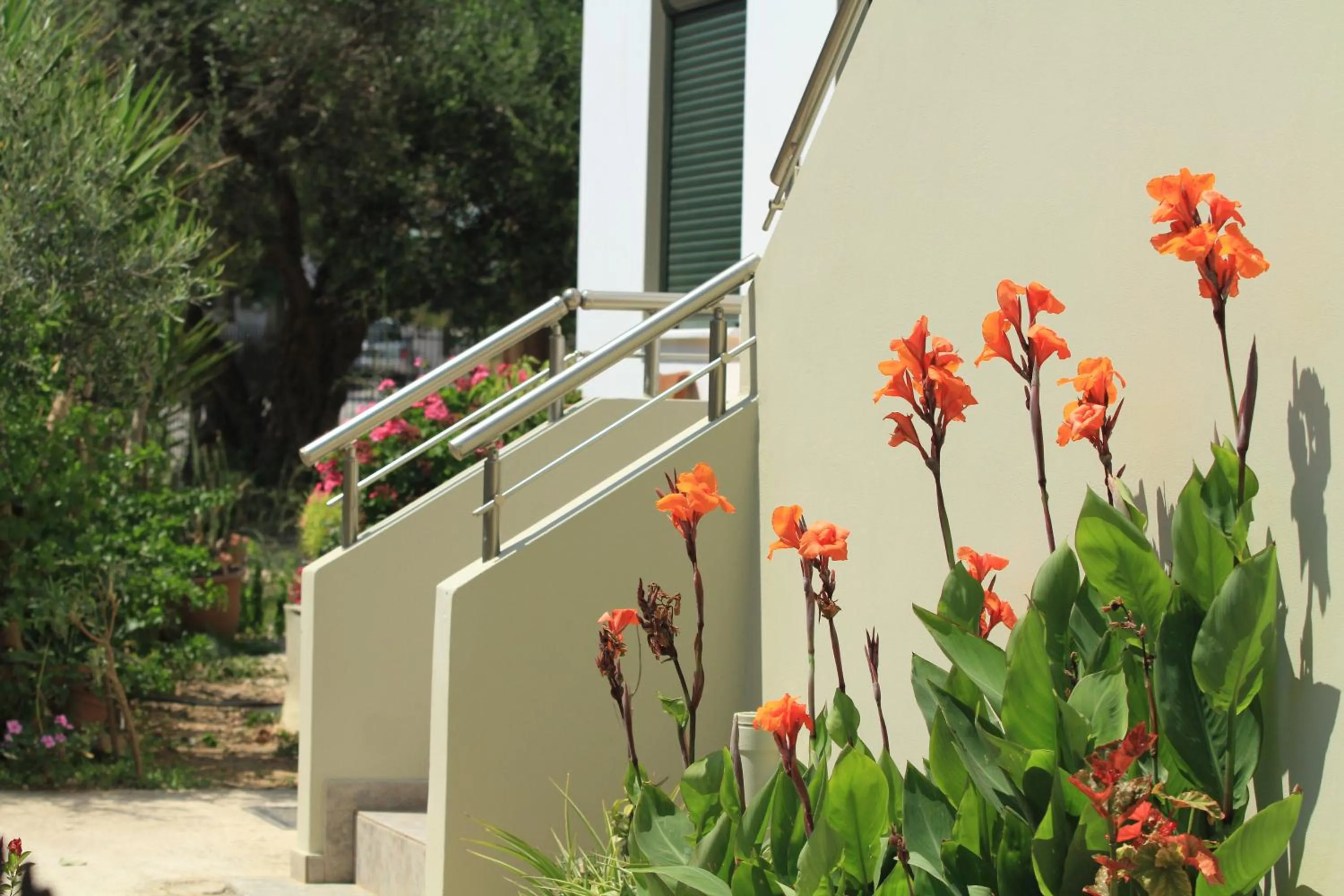 Day in Xenios Zeus Apartments