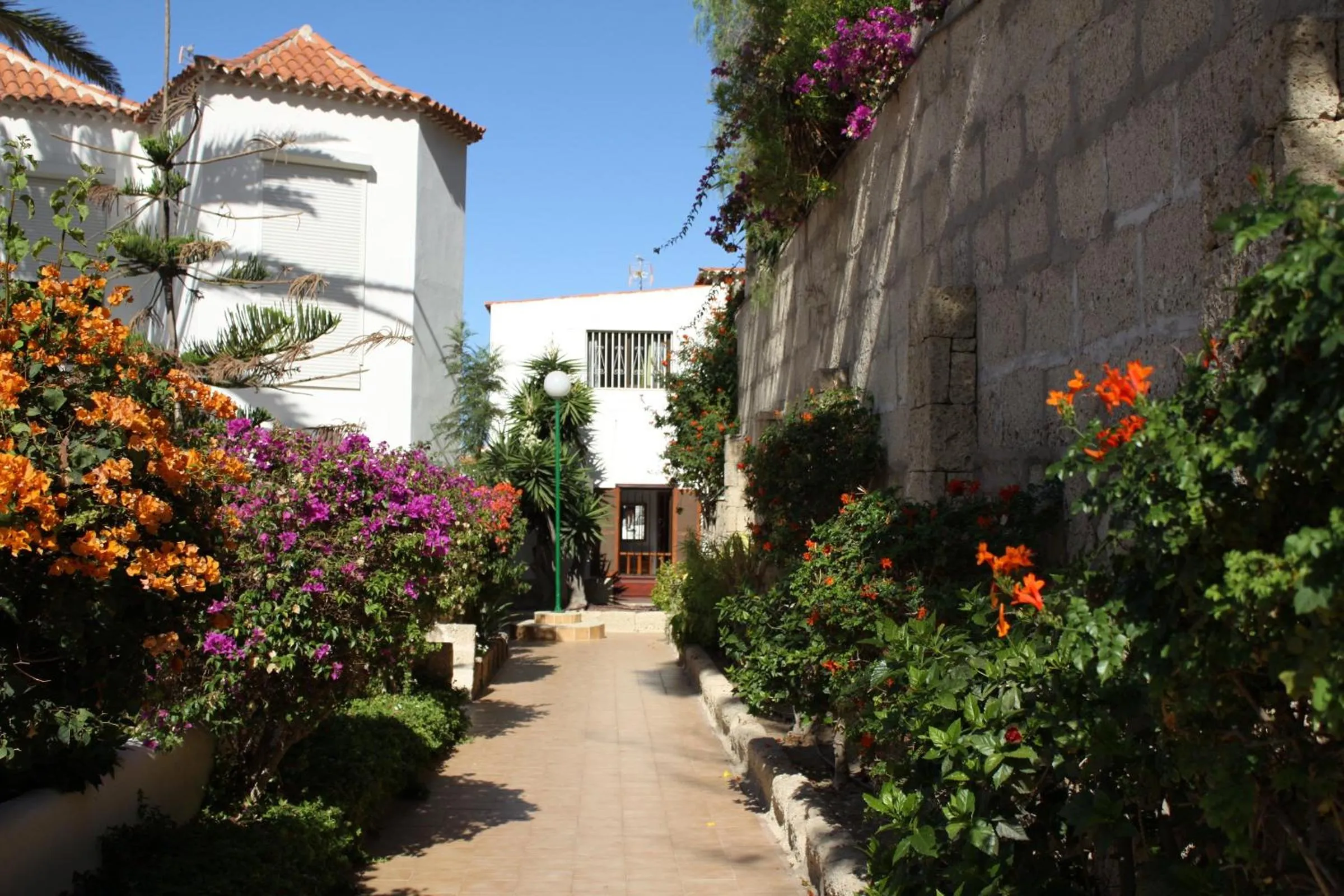 Property building in Apartment Paraiso Royal