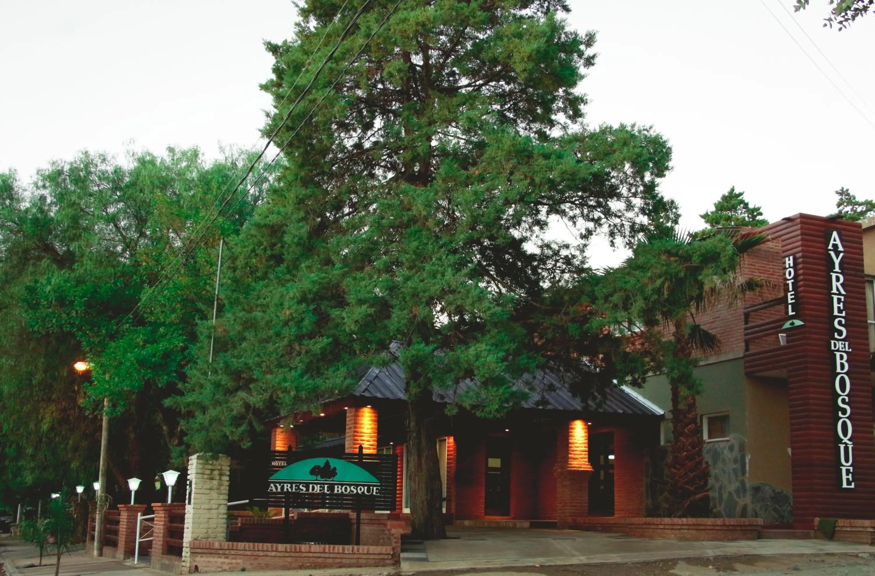 Ayres del Bosque