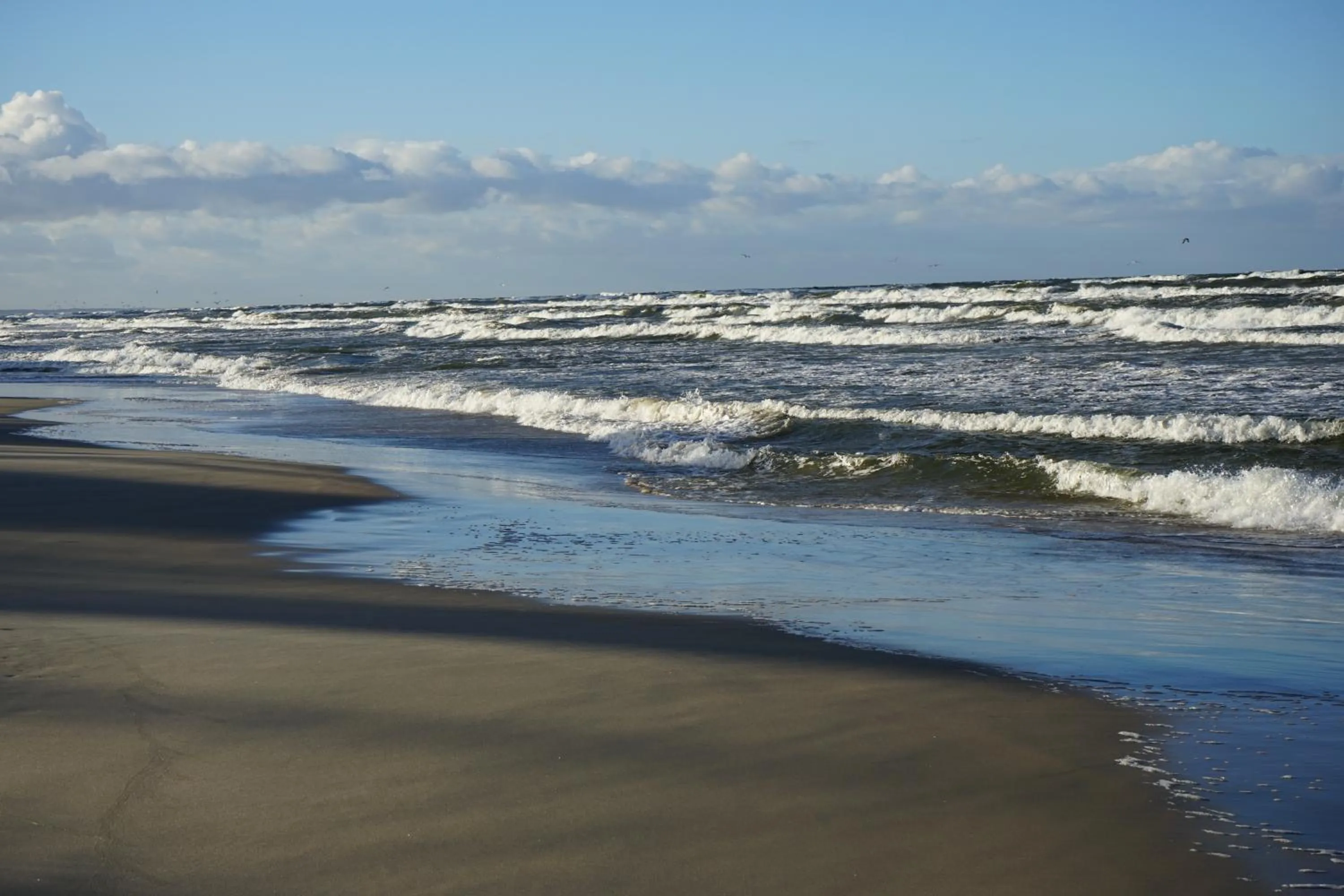 Beach in Hotel White