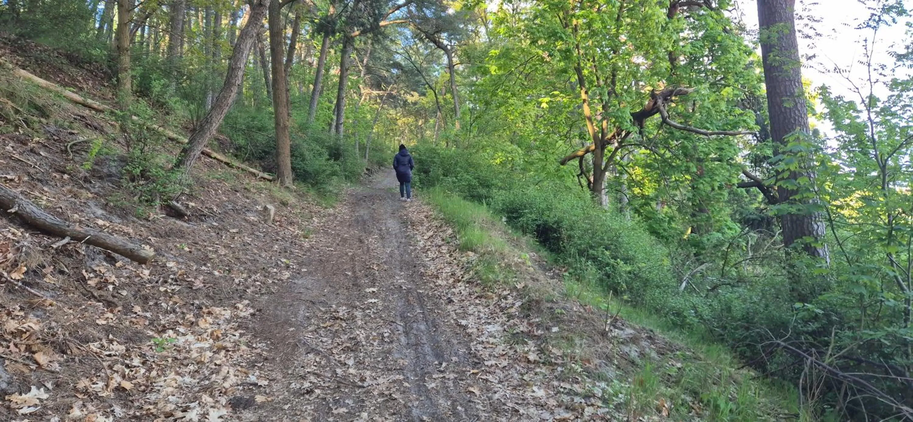 Activities in Hotel White