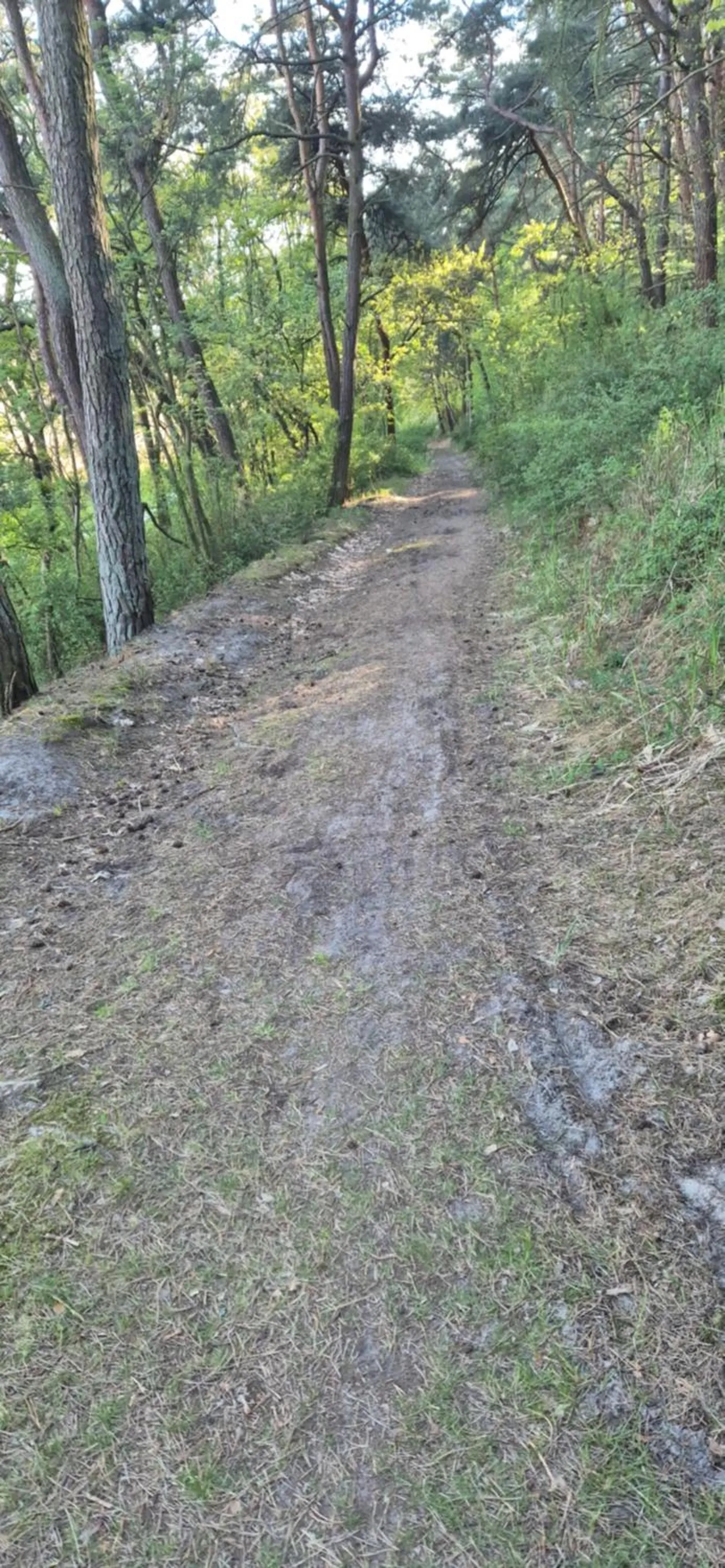 Off site in Hotel White