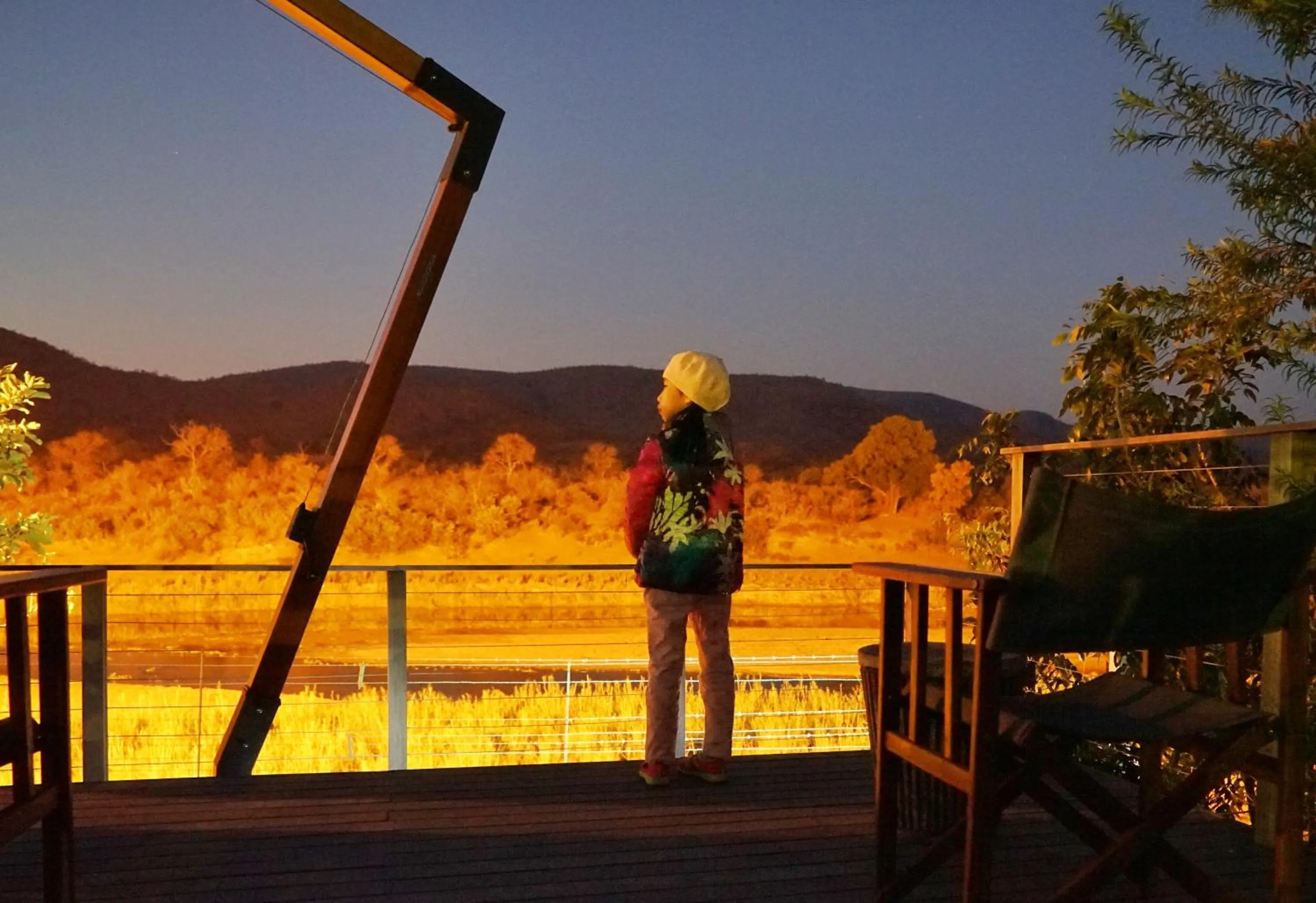 Animals in Kambaku River Lodge