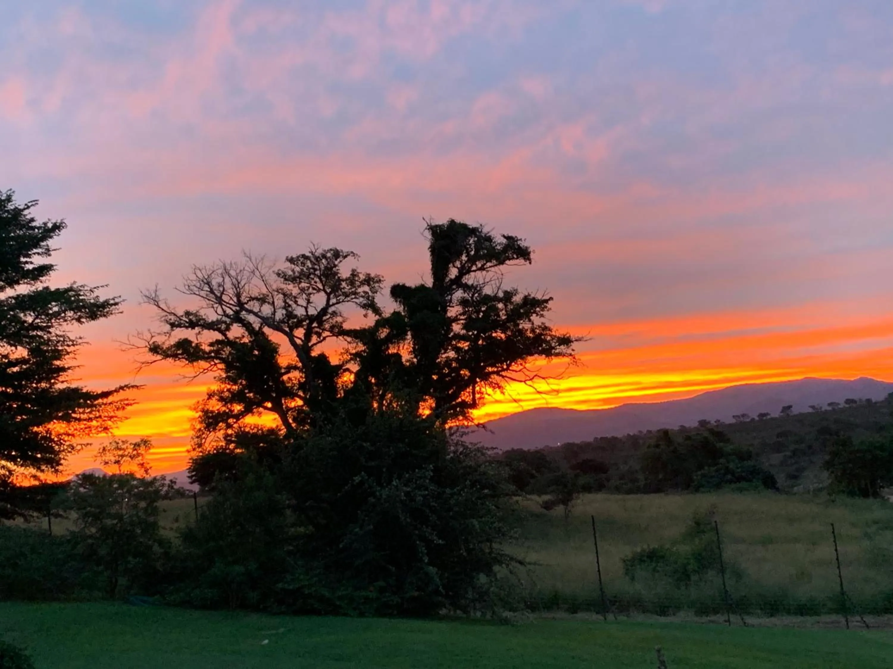 Natural landscape in Kambaku River Lodge