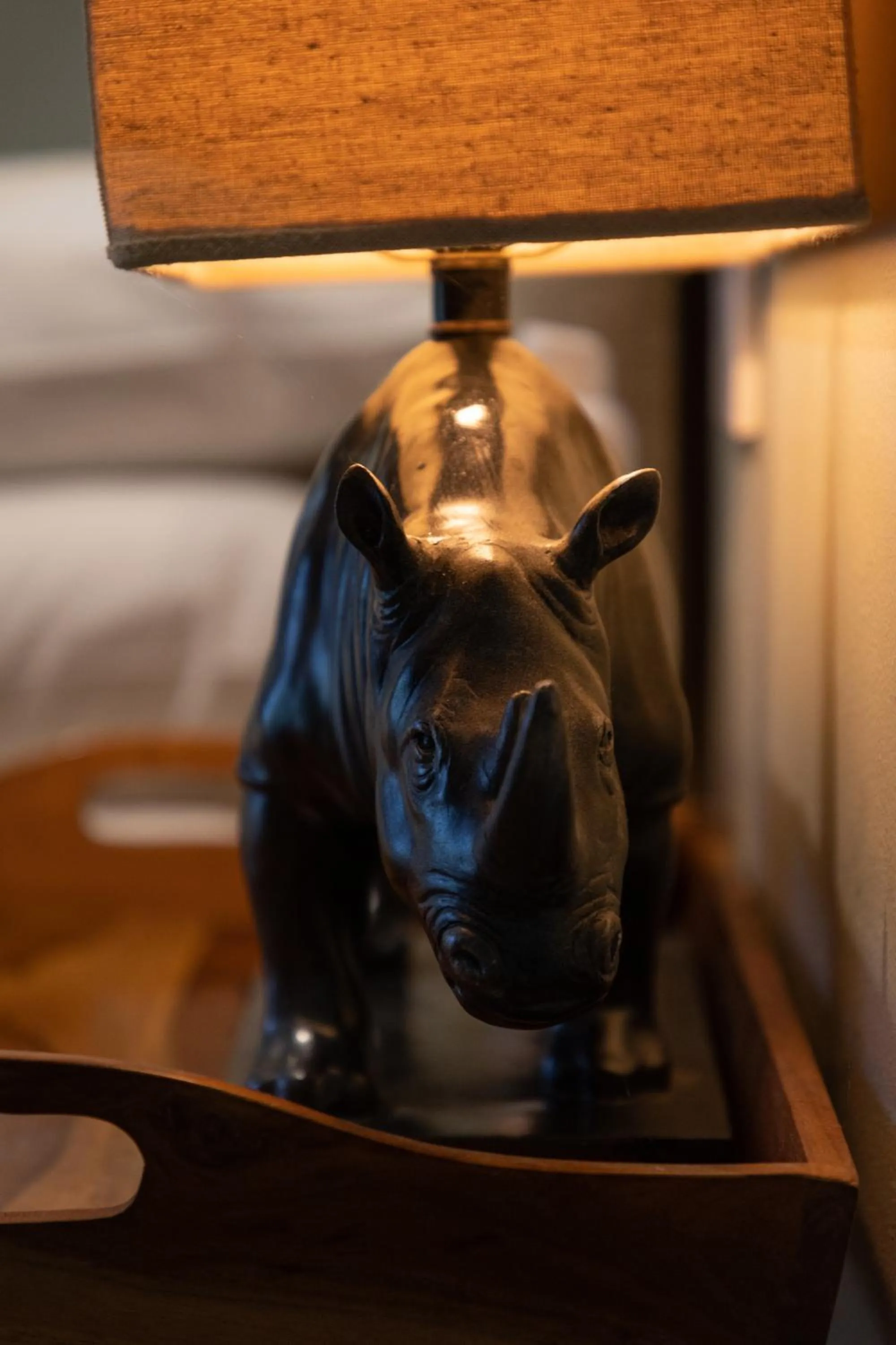 Decorative detail in Kambaku River Lodge