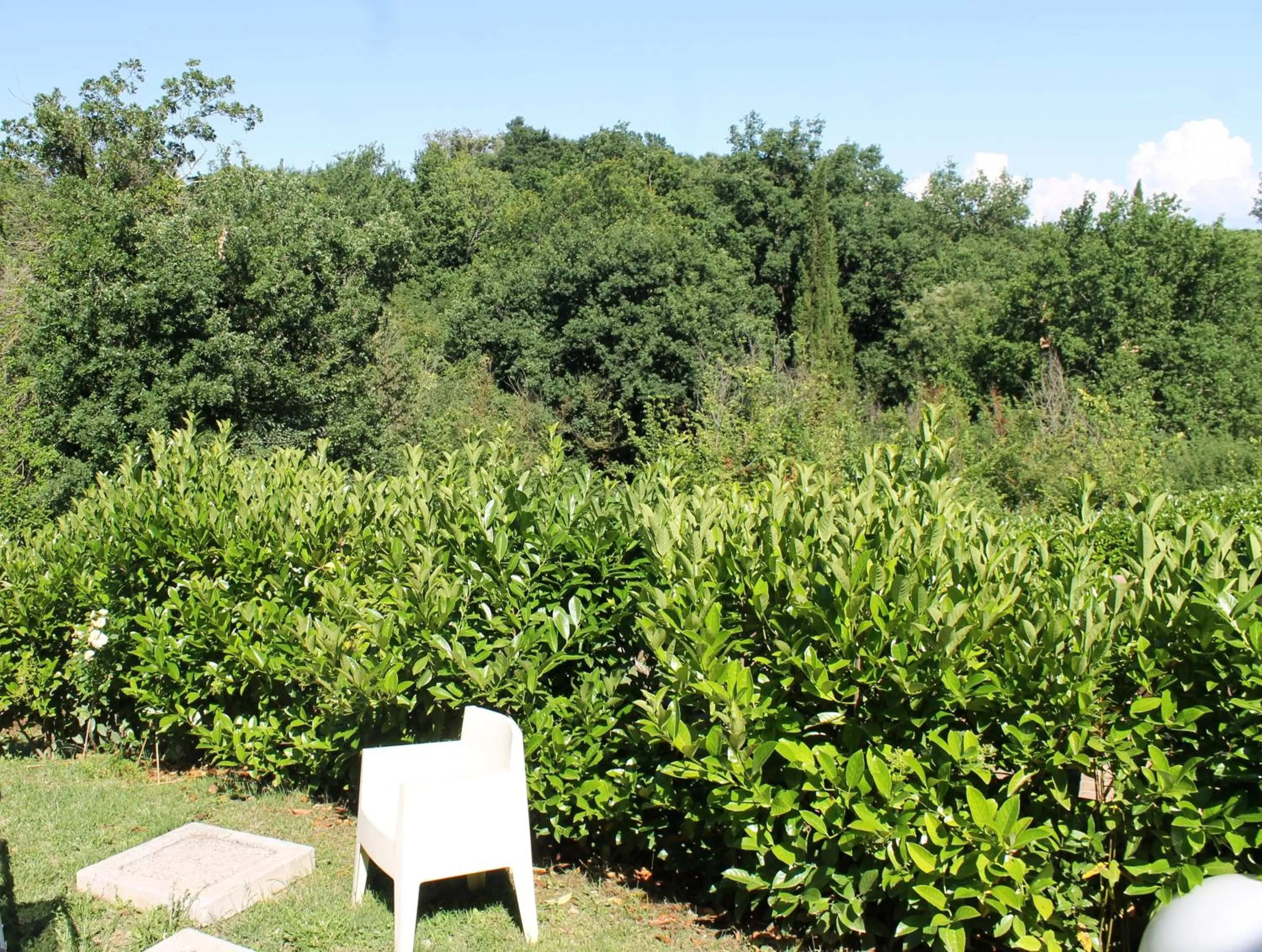 Garden view in Donna Etrusca