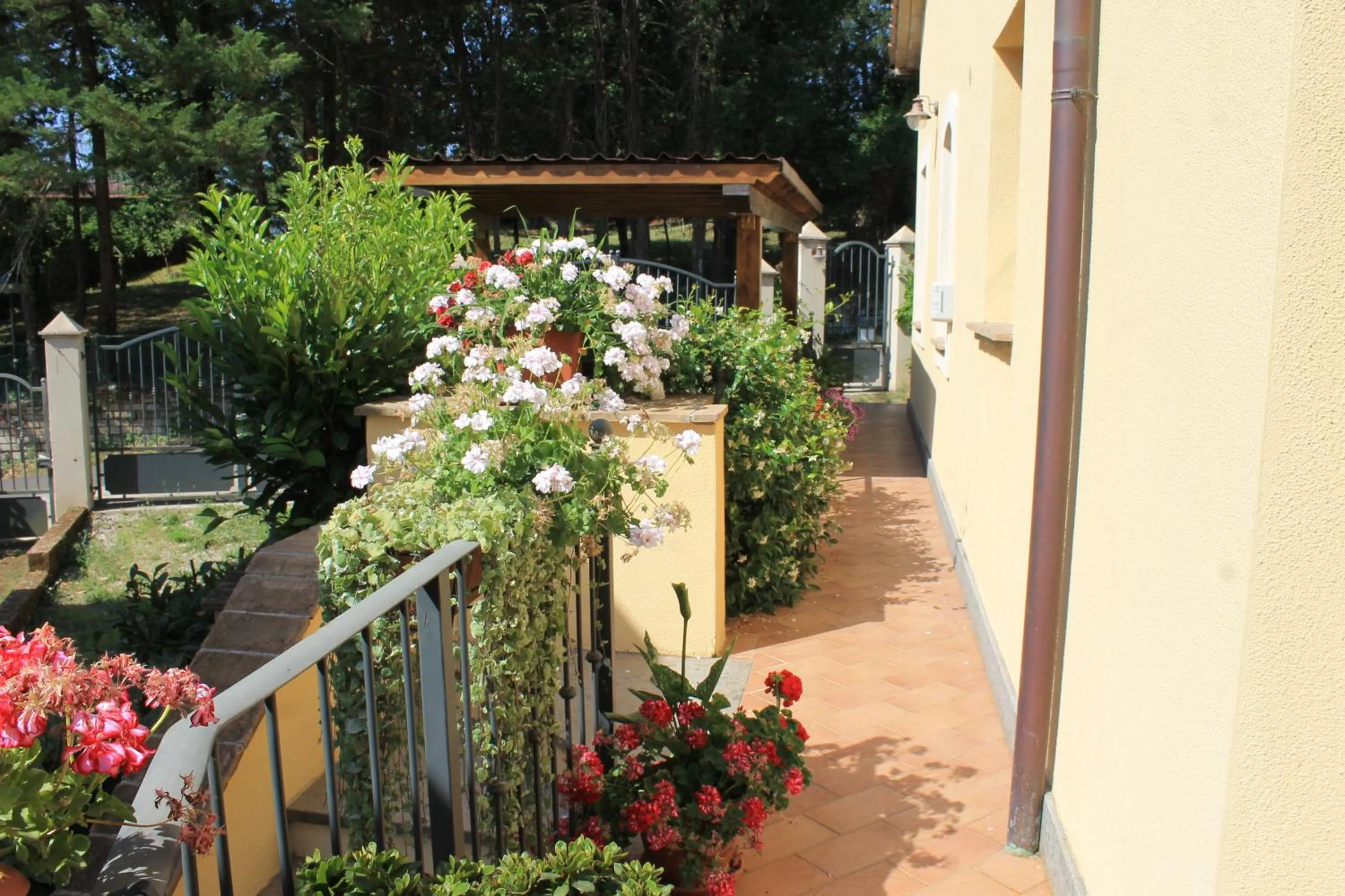 Garden view in Donna Etrusca