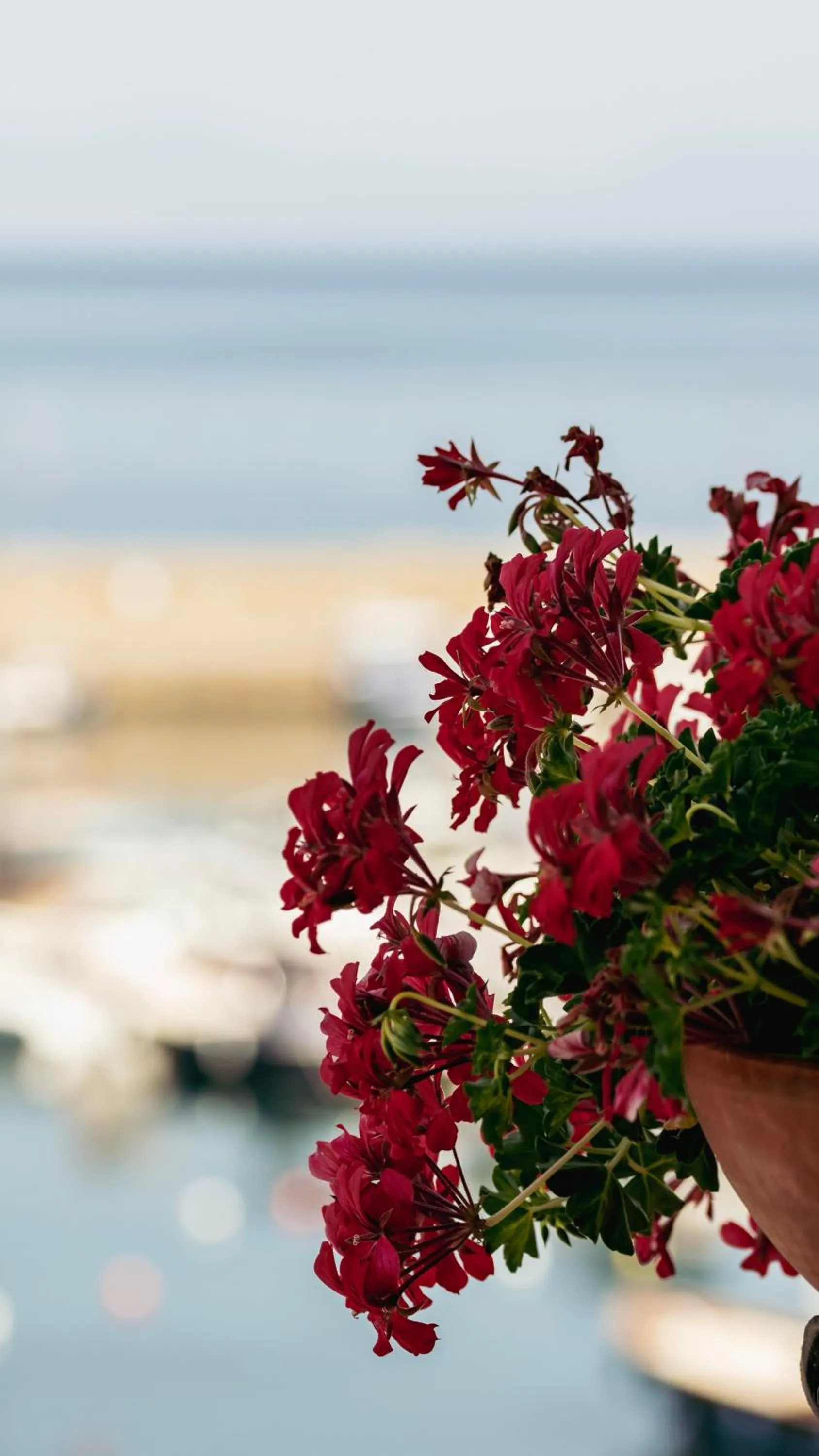 Property building in Residenza D'epoca La Corallina