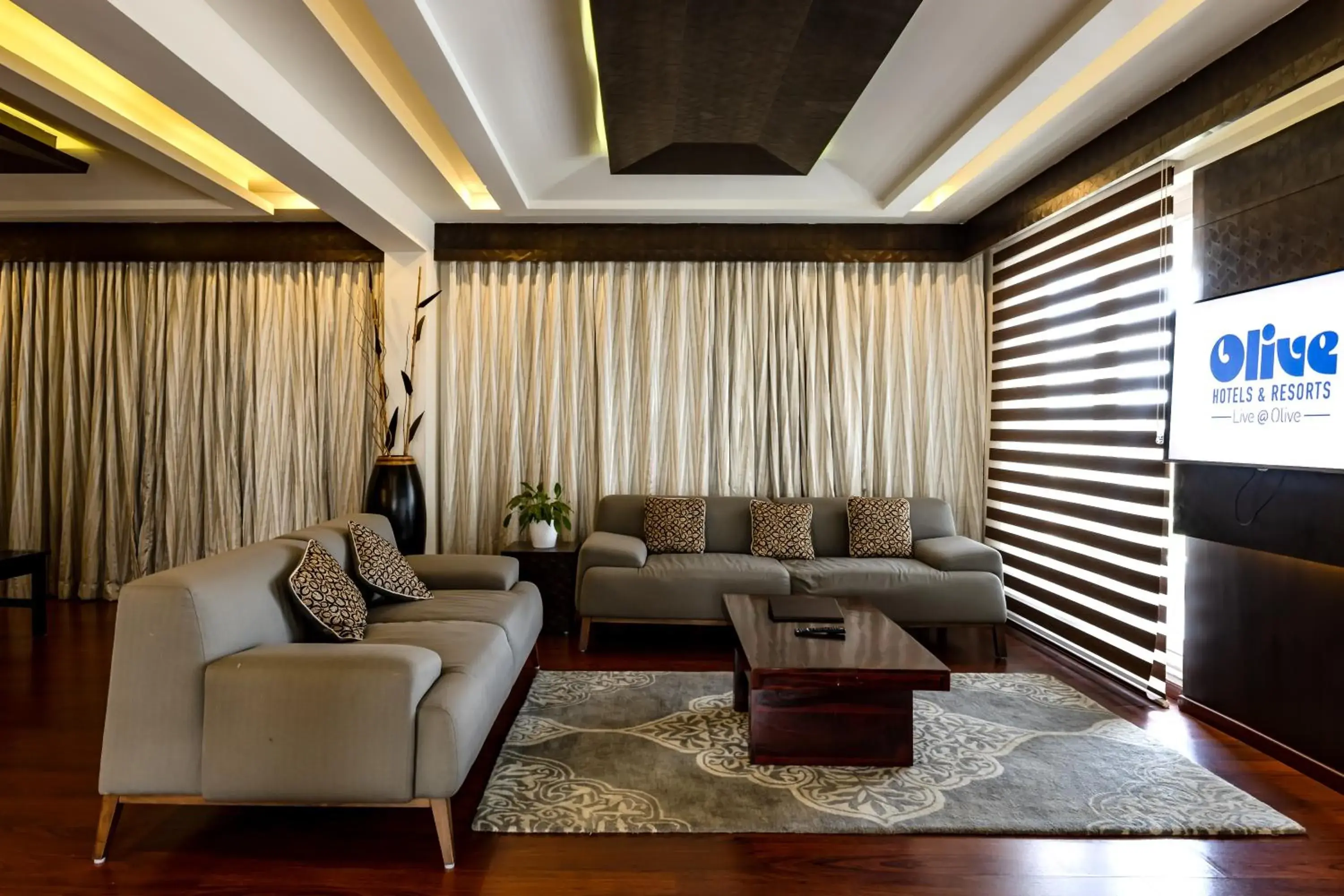 Living room in Olive Downtown Living room in Olive Downtown